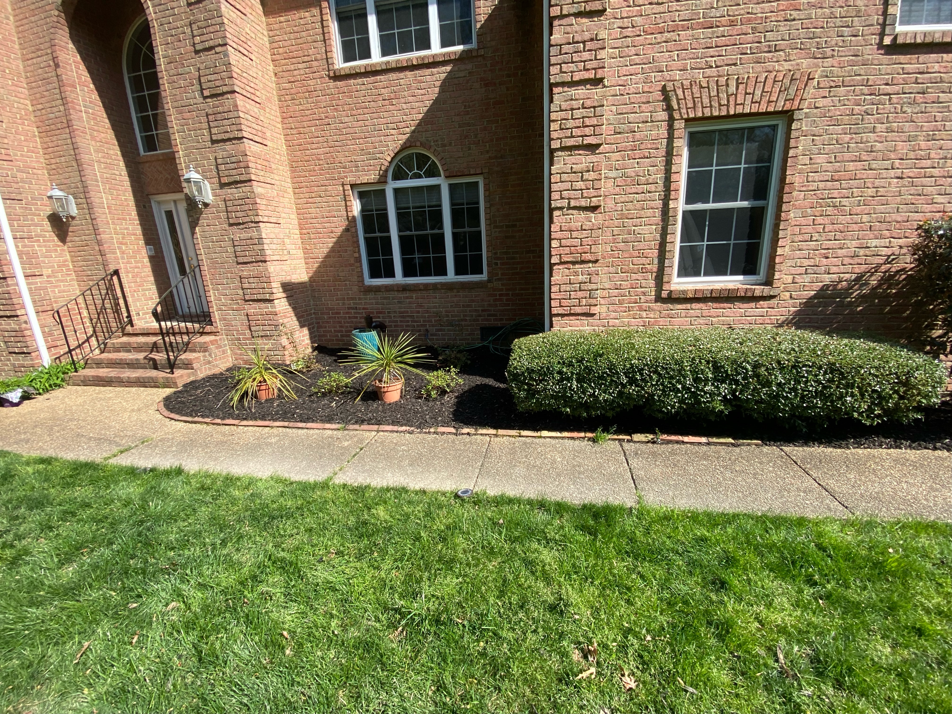 Total Lawncare project 43
