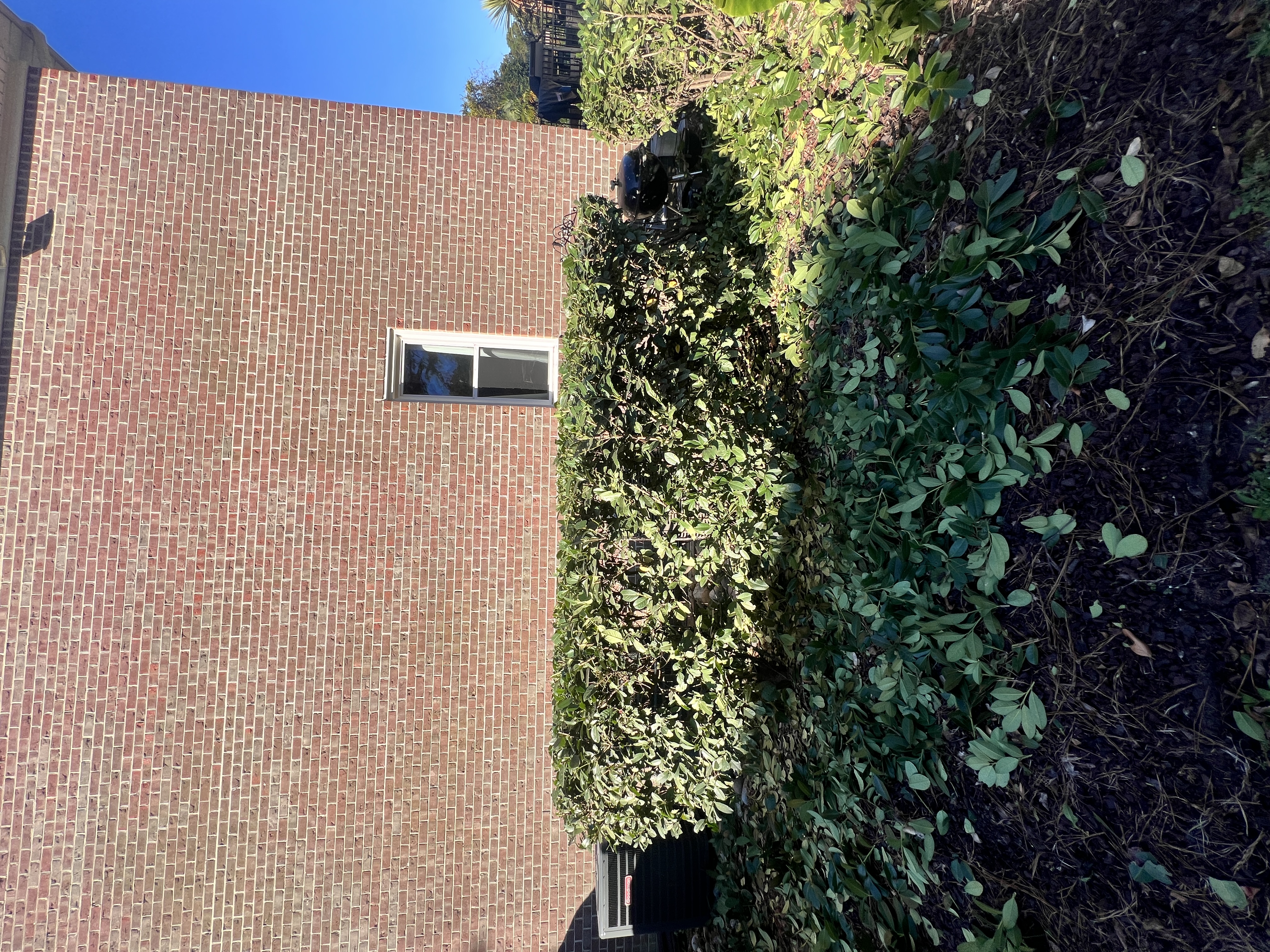 Total Lawncare project 35