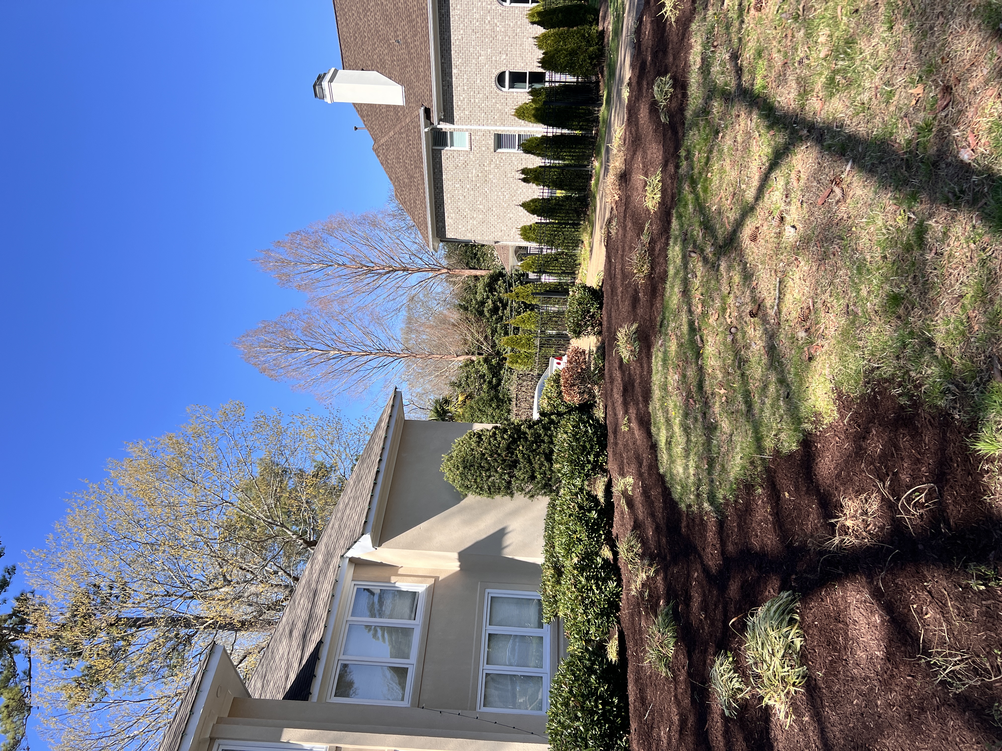 Total Lawncare project 29