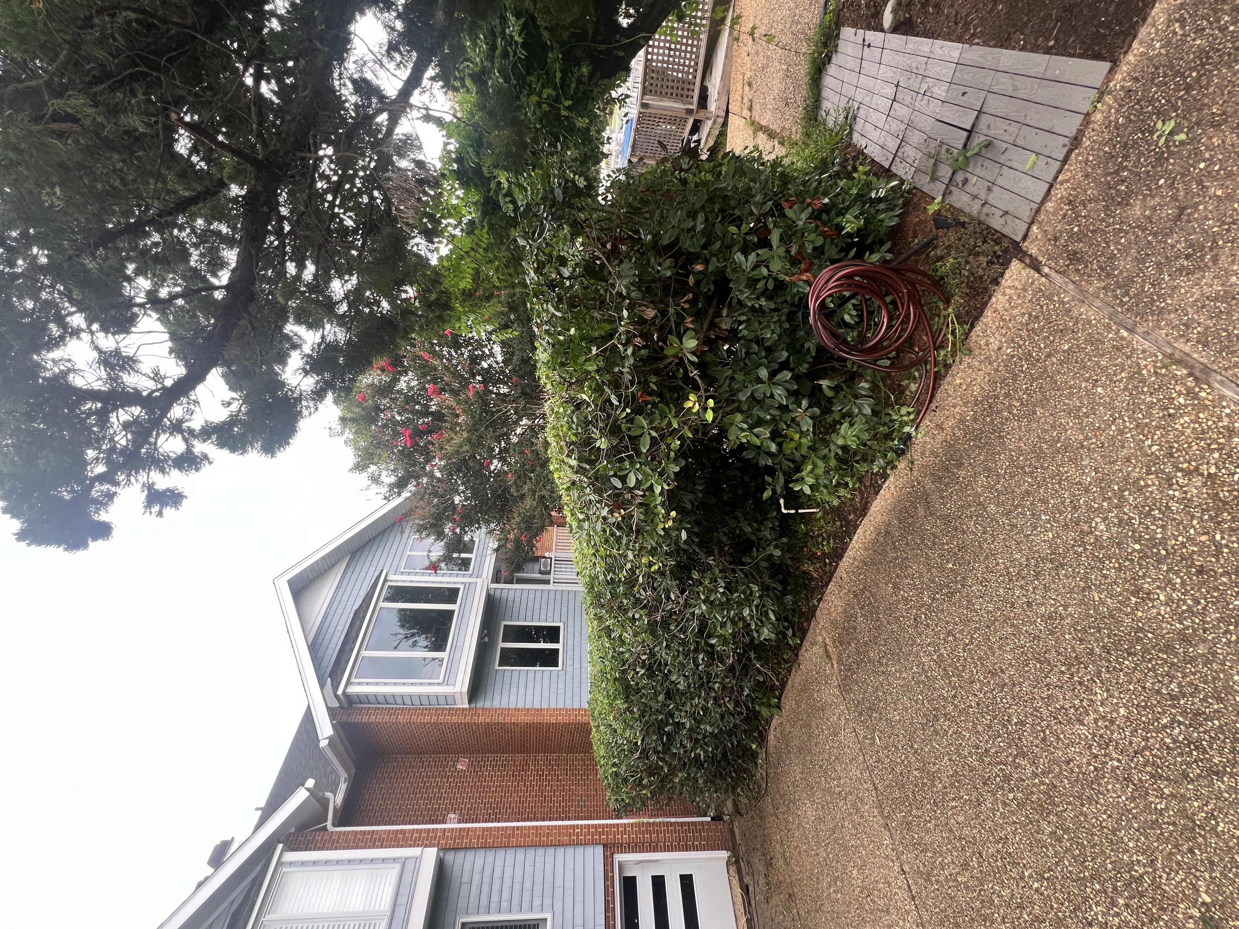 Total Lawncare project 134