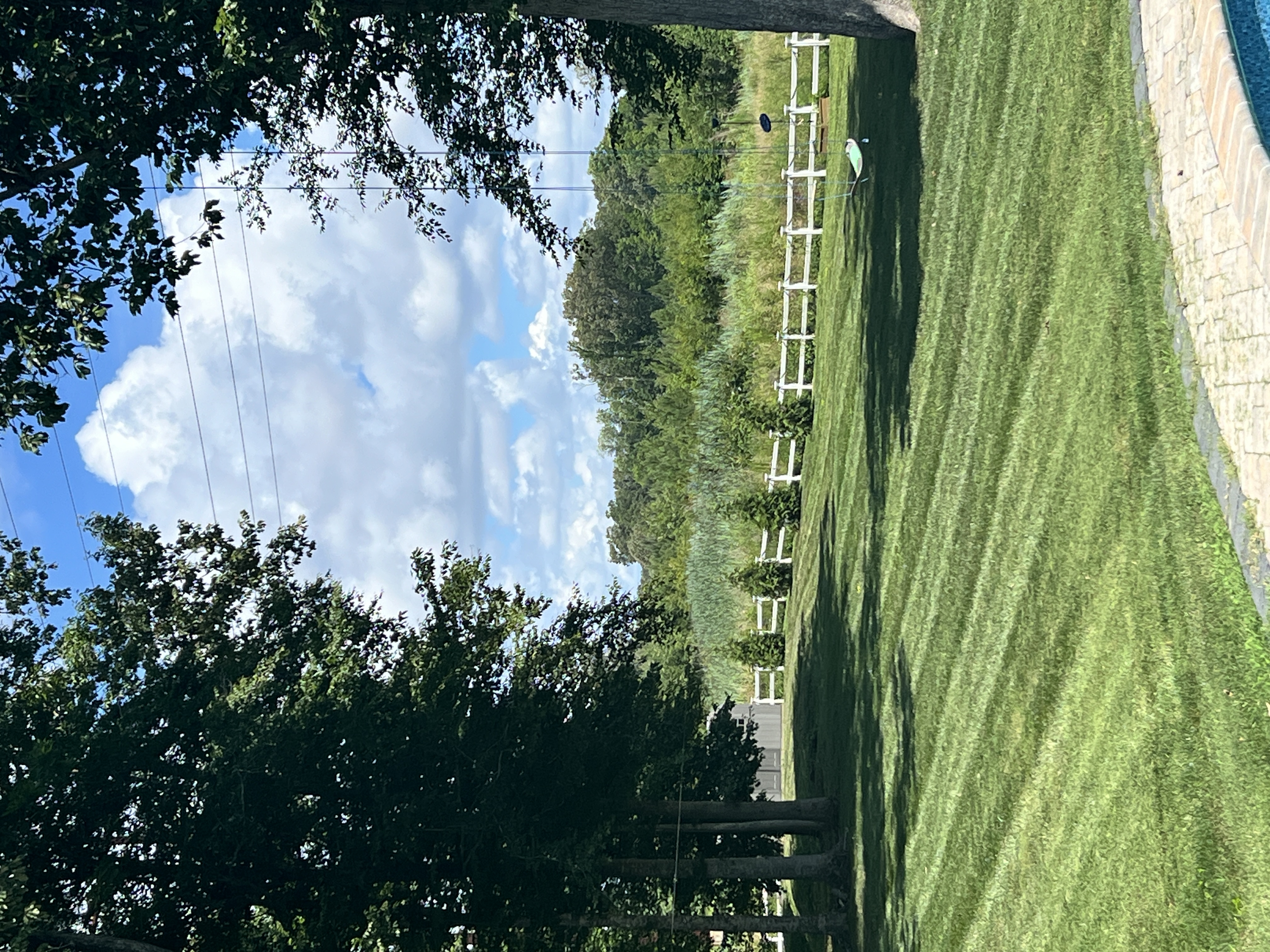 Total Lawncare project 81