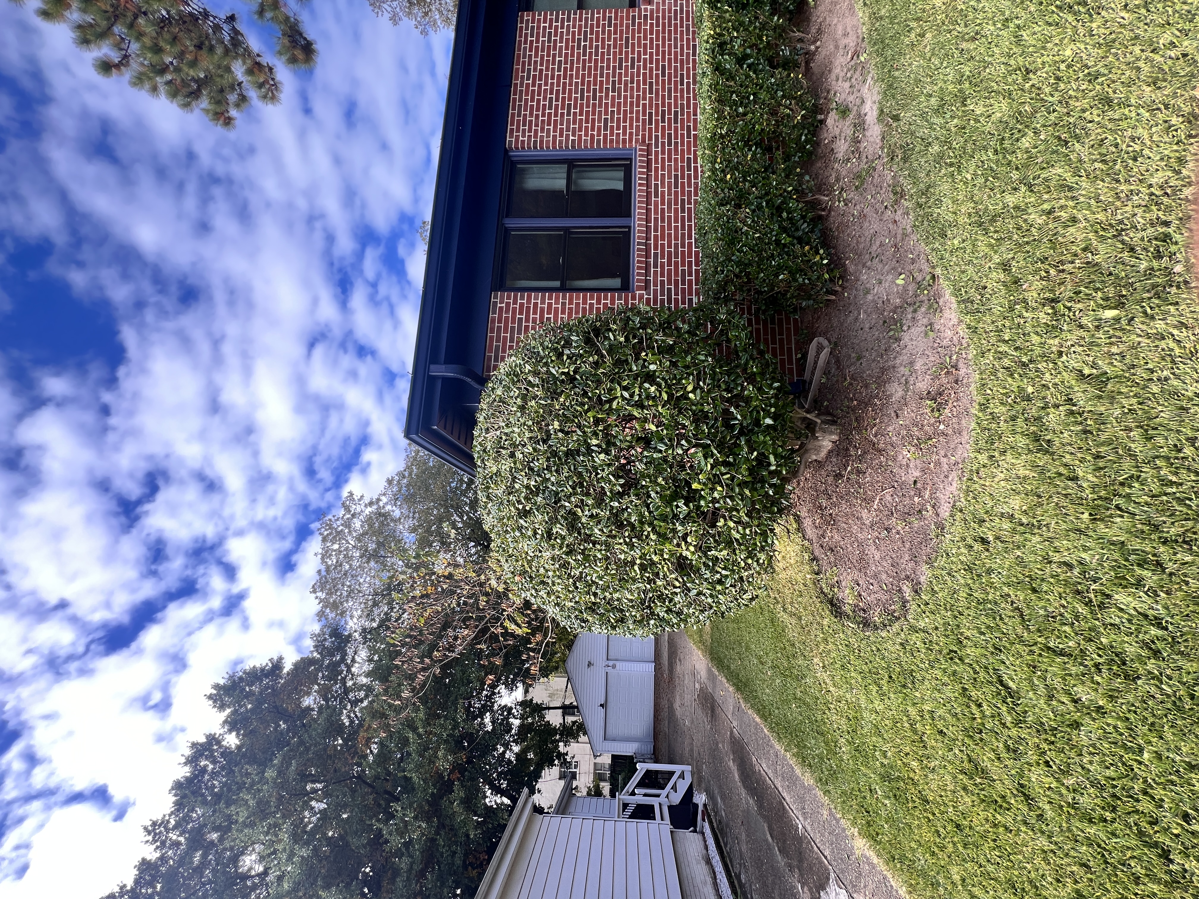 Total Lawncare project 30