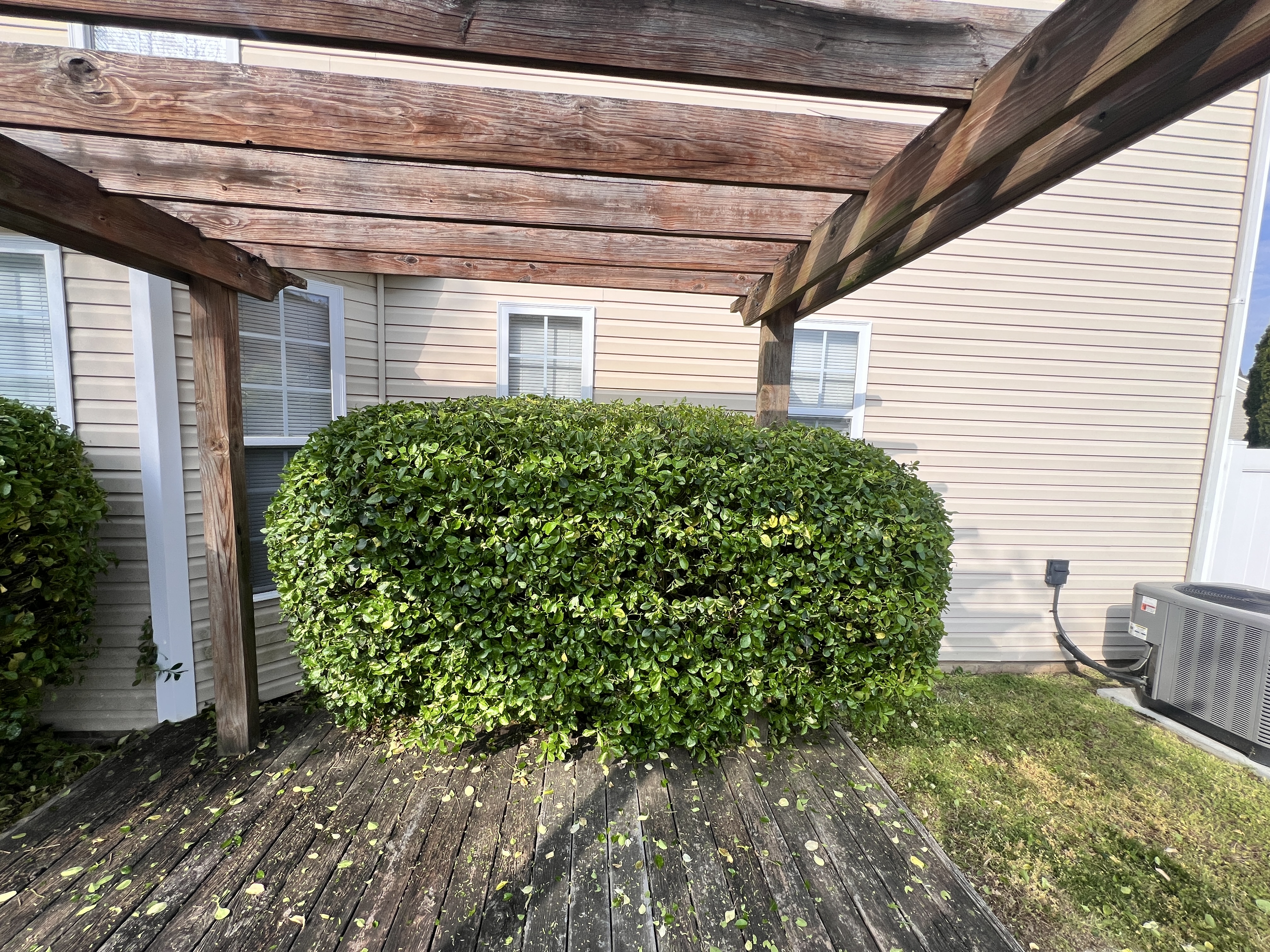Total Lawncare project 41