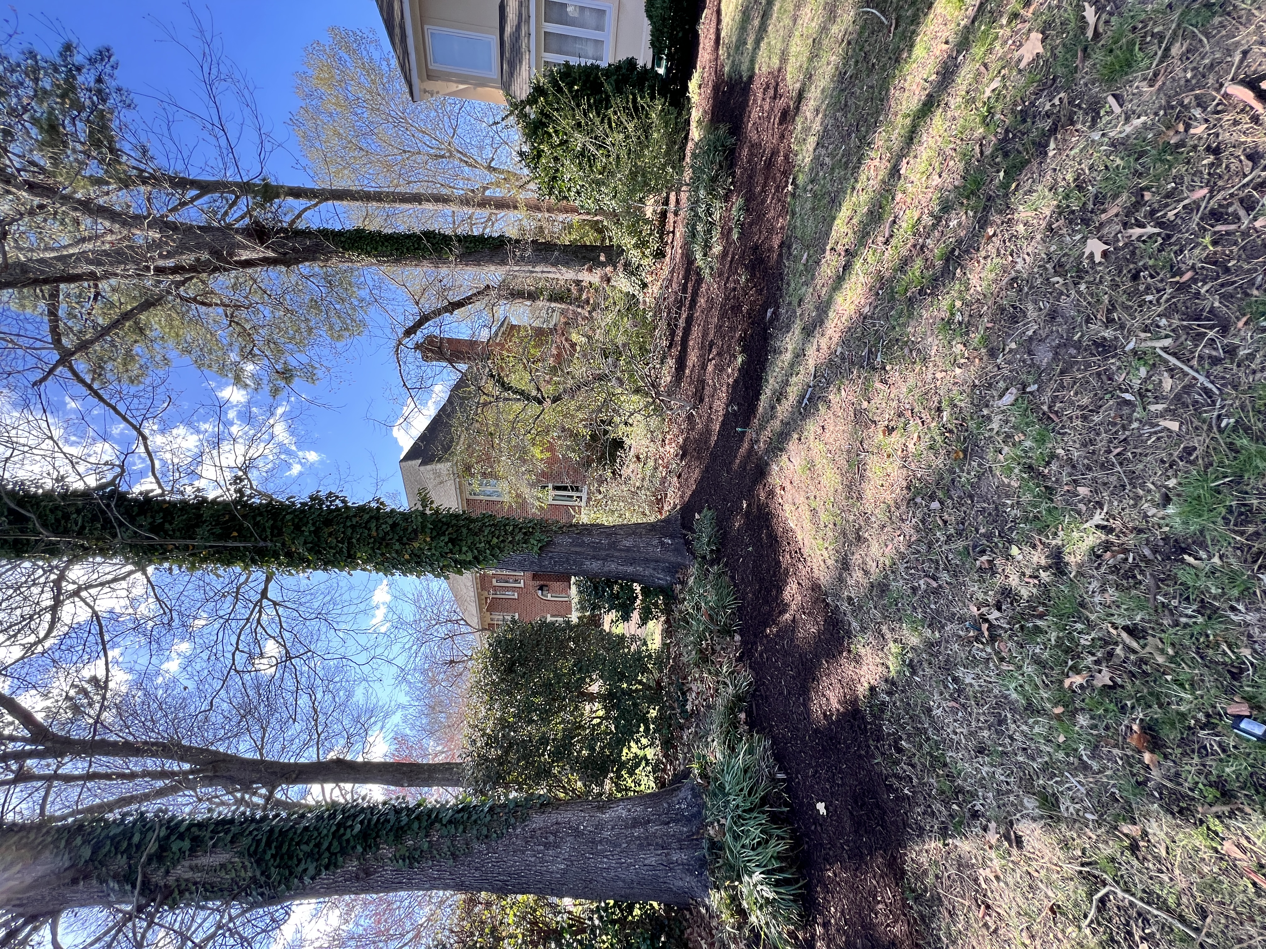 Total Lawncare project 5