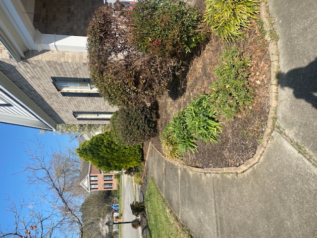 Total Lawncare project 84
