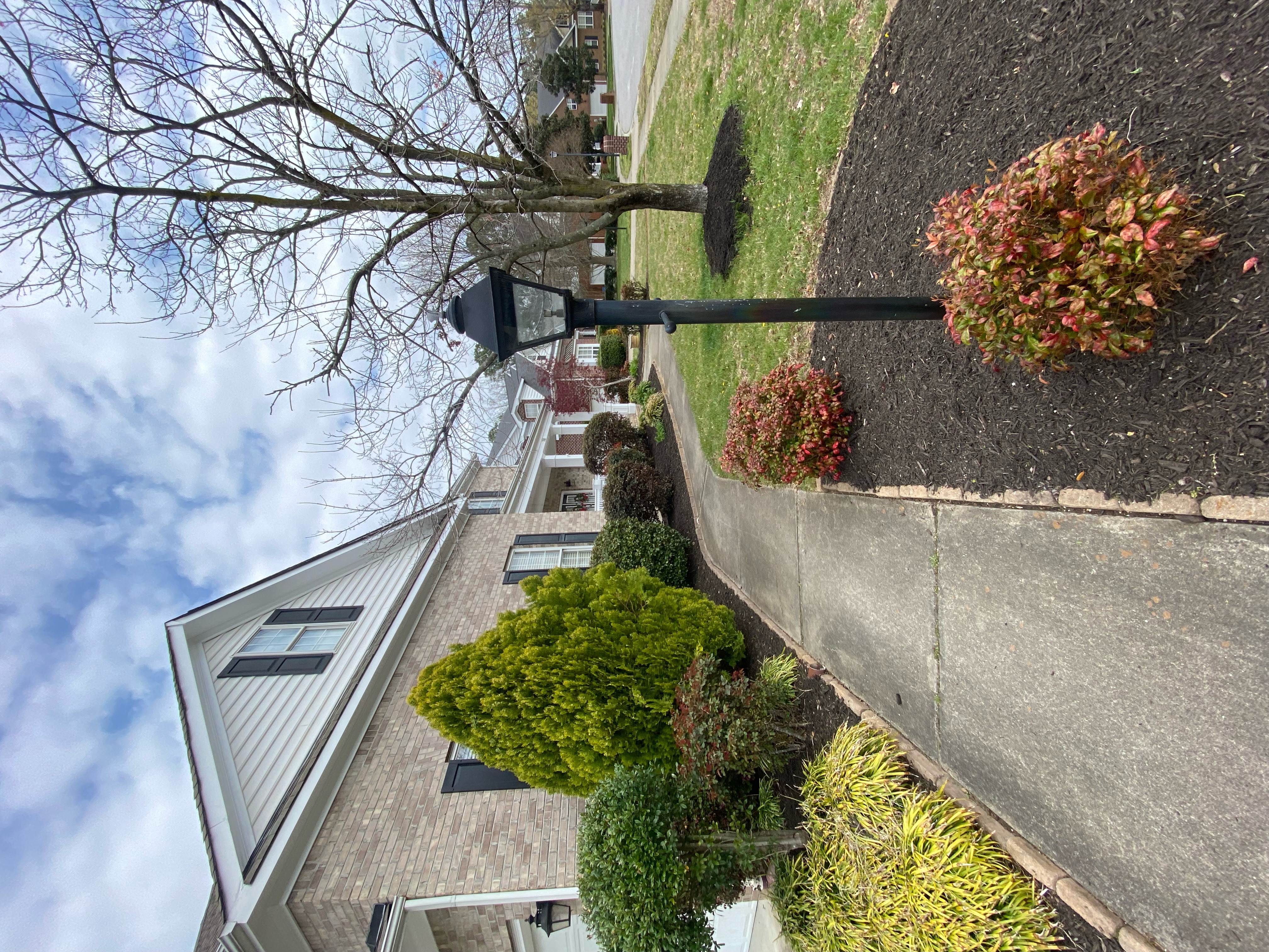 Total Lawncare project 145