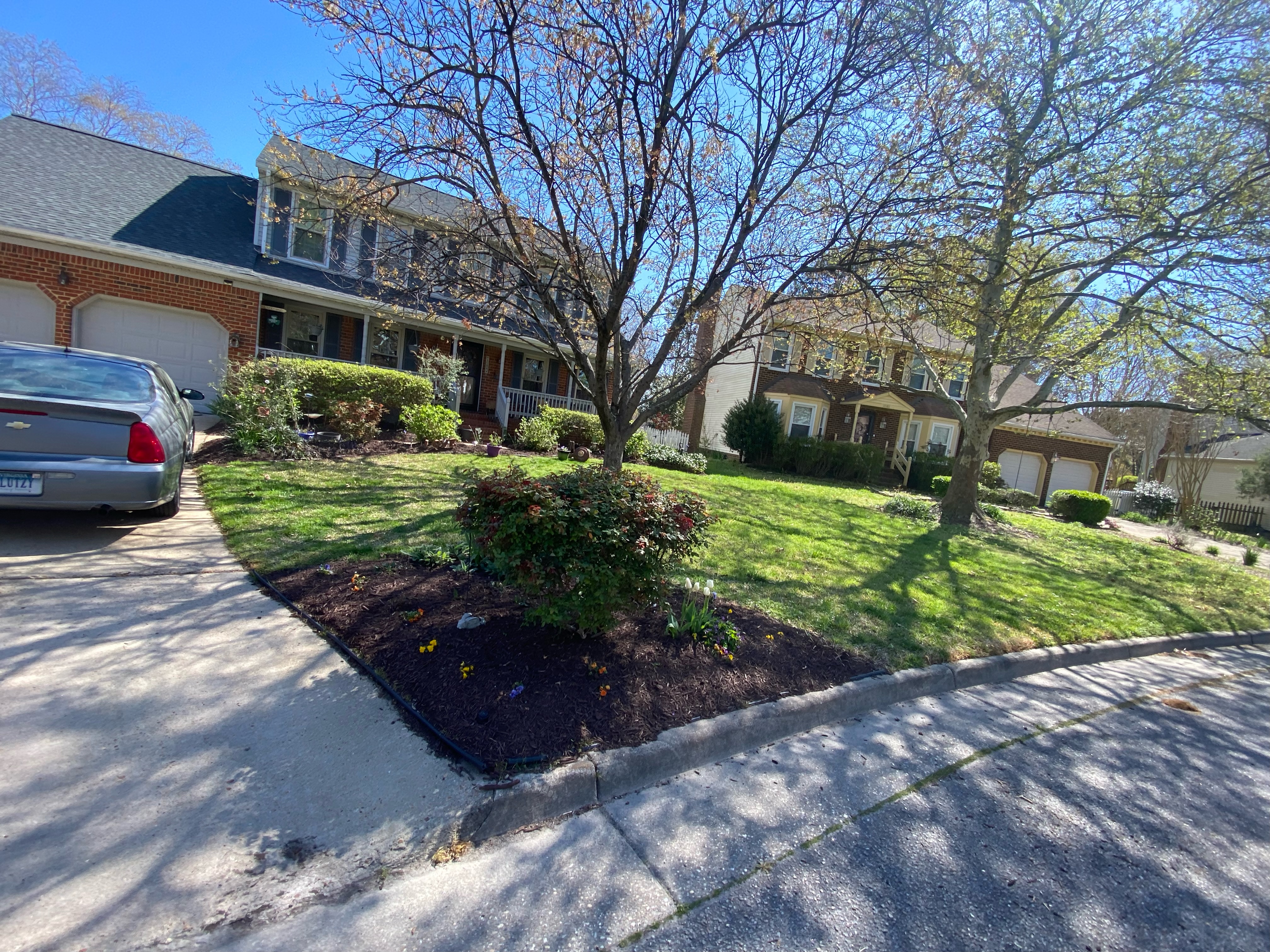 Total Lawncare project 50