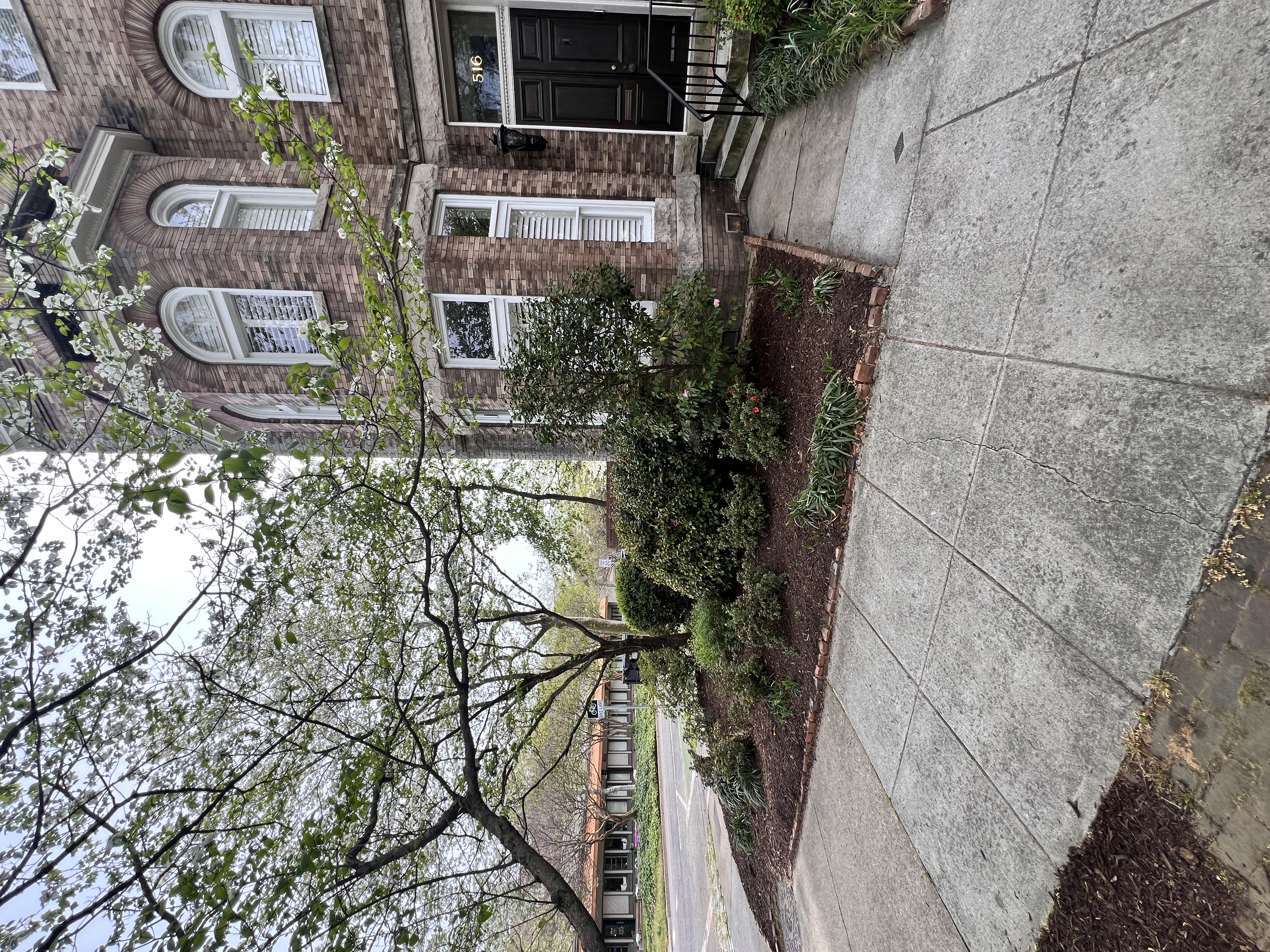Total Lawncare project 15
