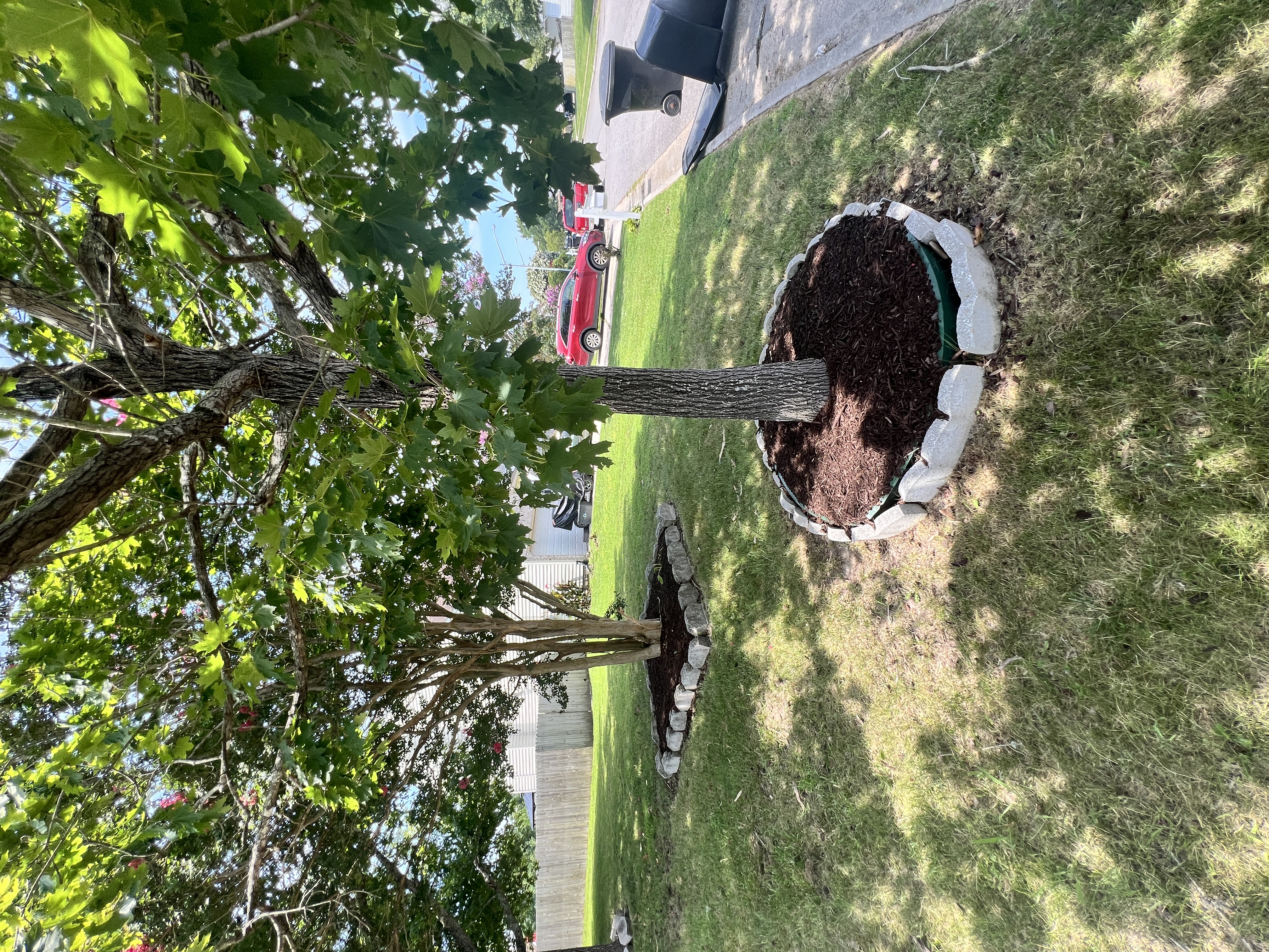 Total Lawncare project 87