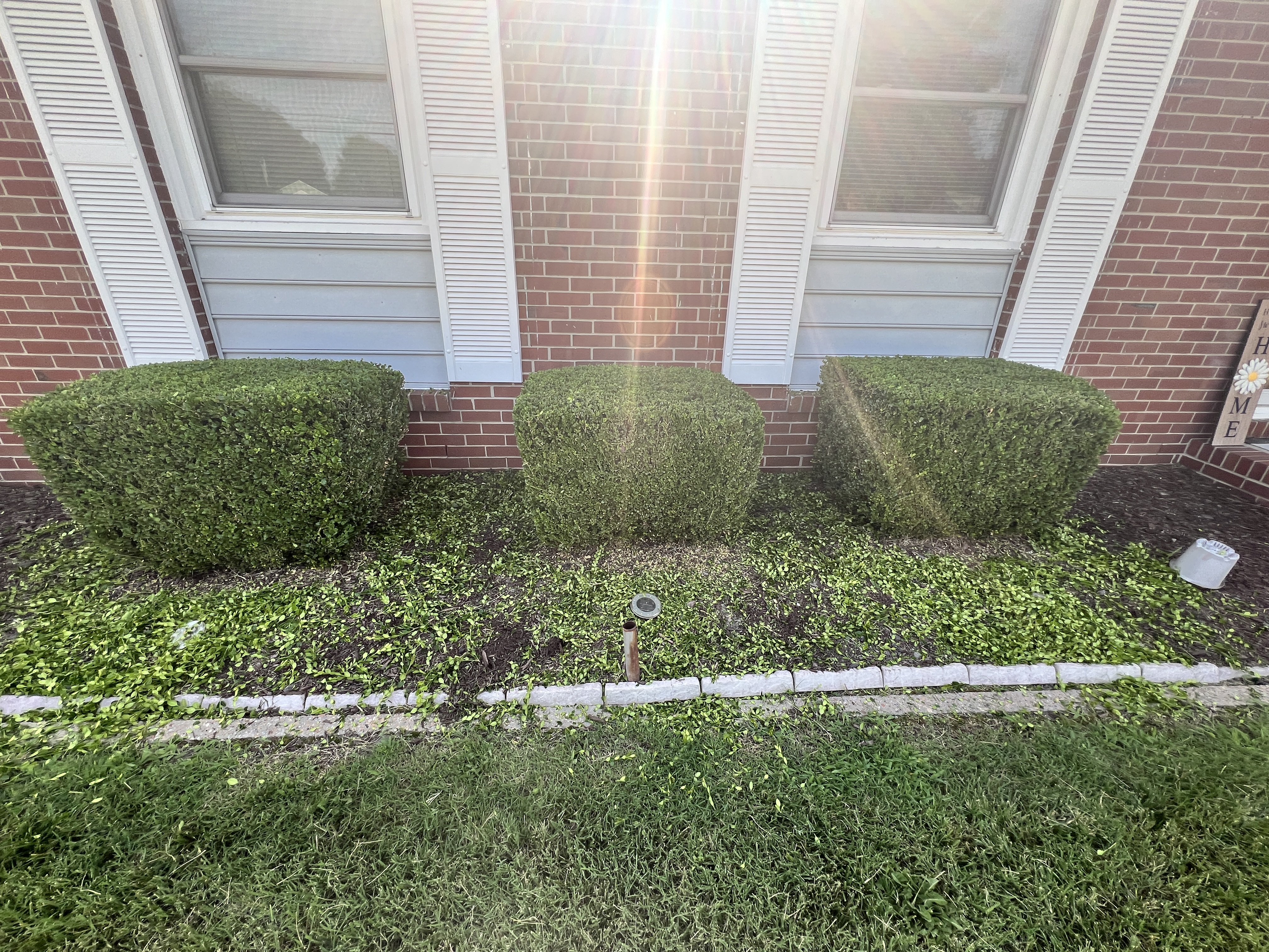Total Lawncare project 37