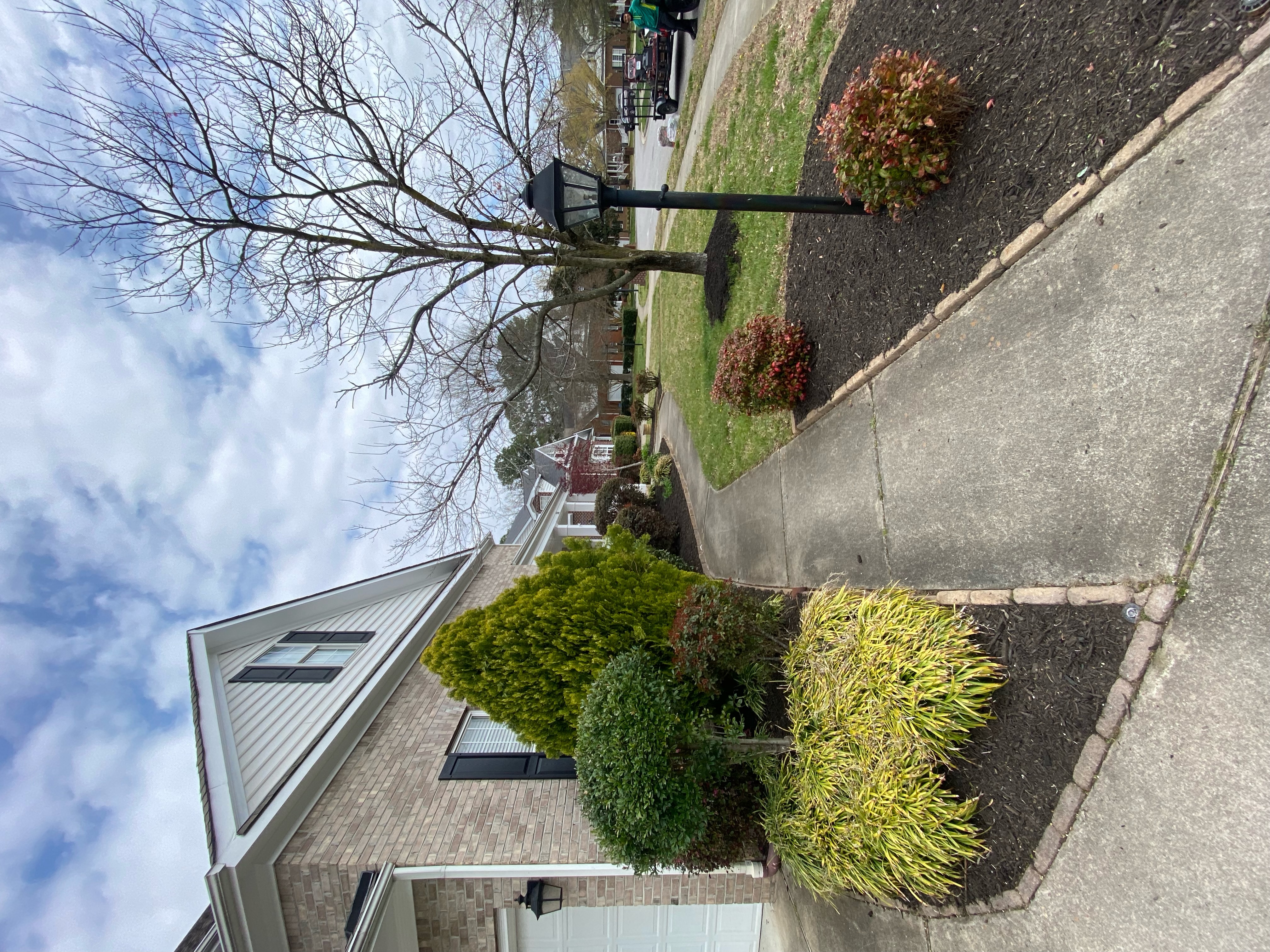 Total Lawncare project 146