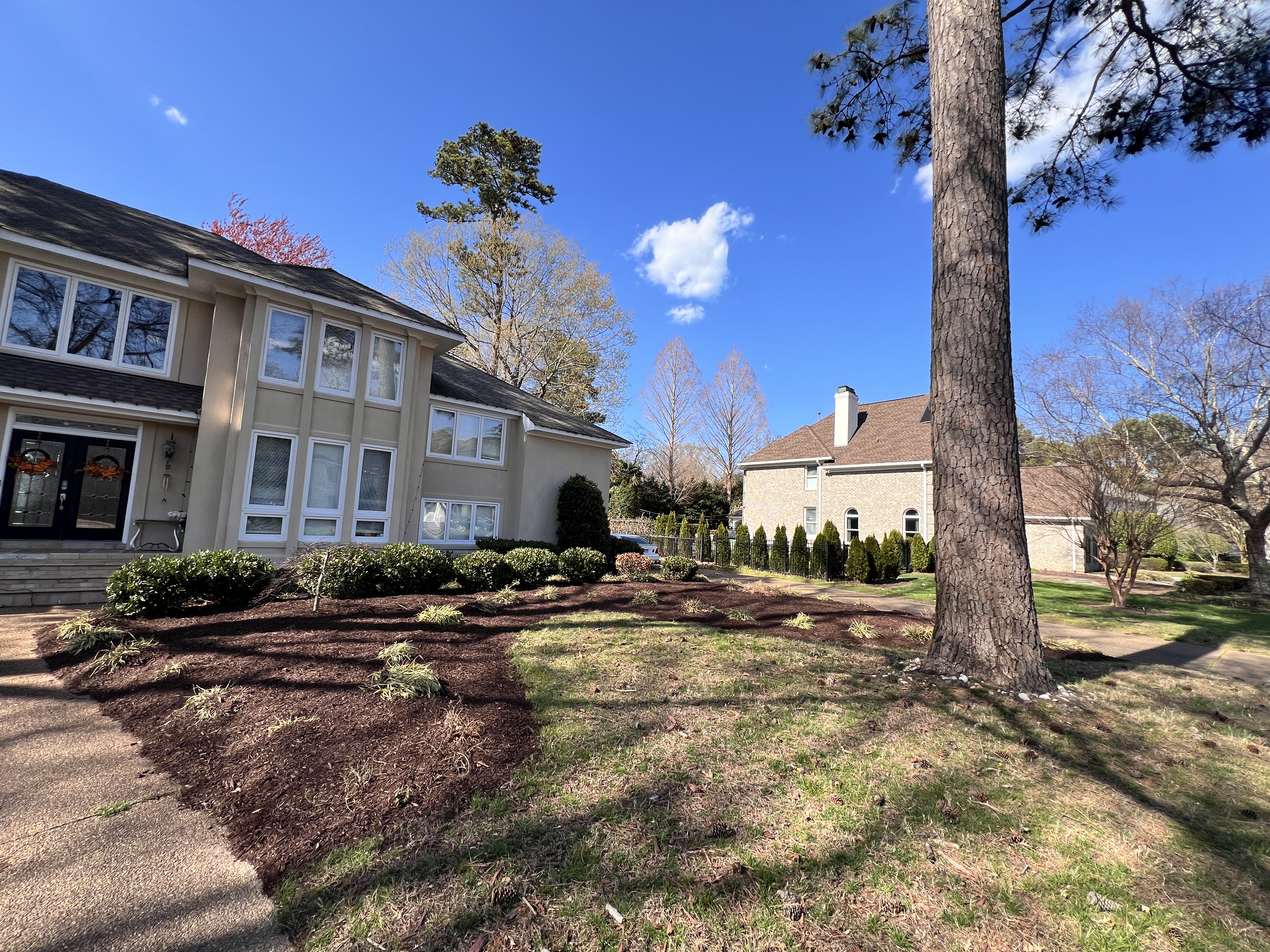 Total Lawncare project 44