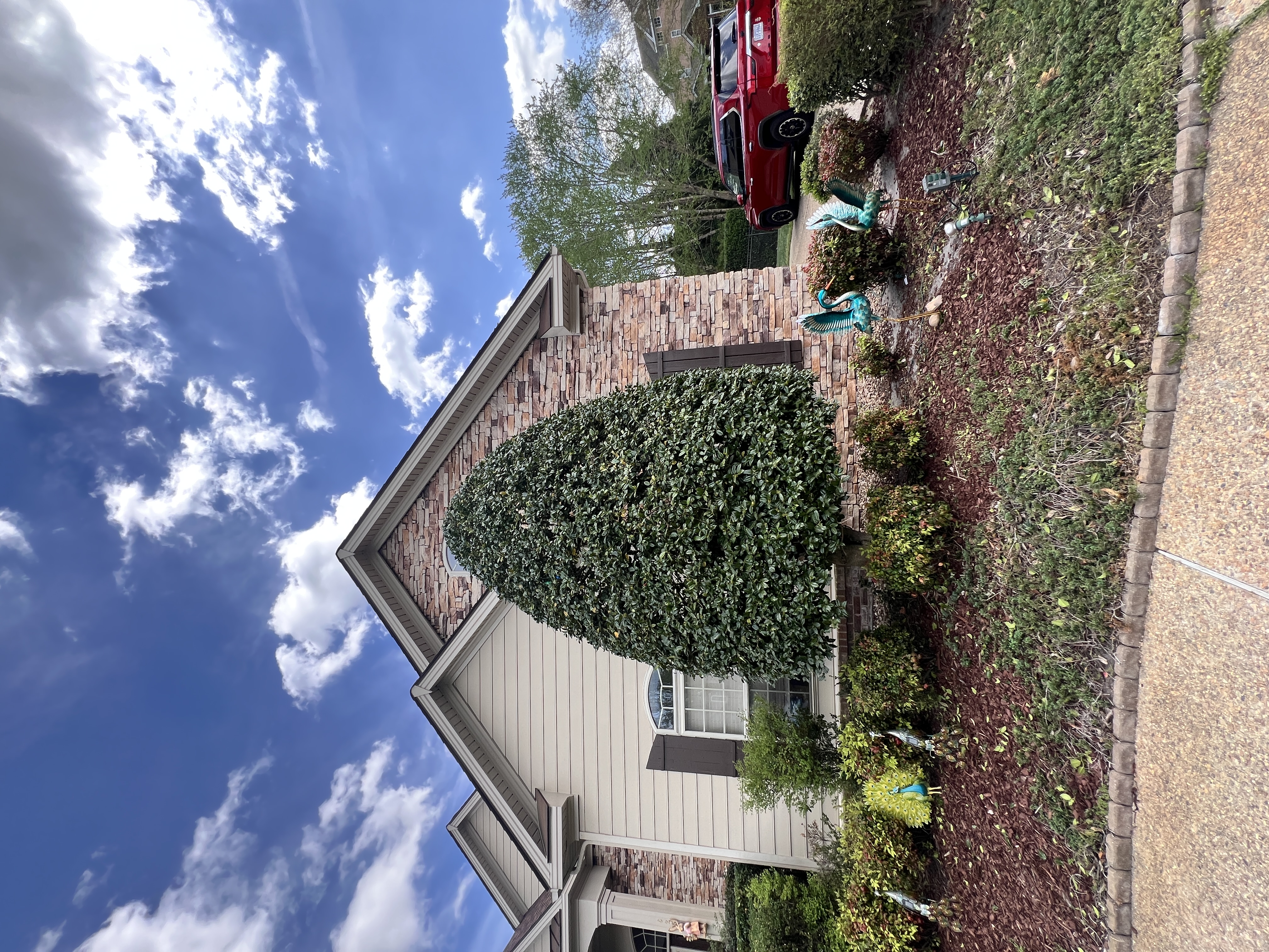 Total Lawncare project 64
