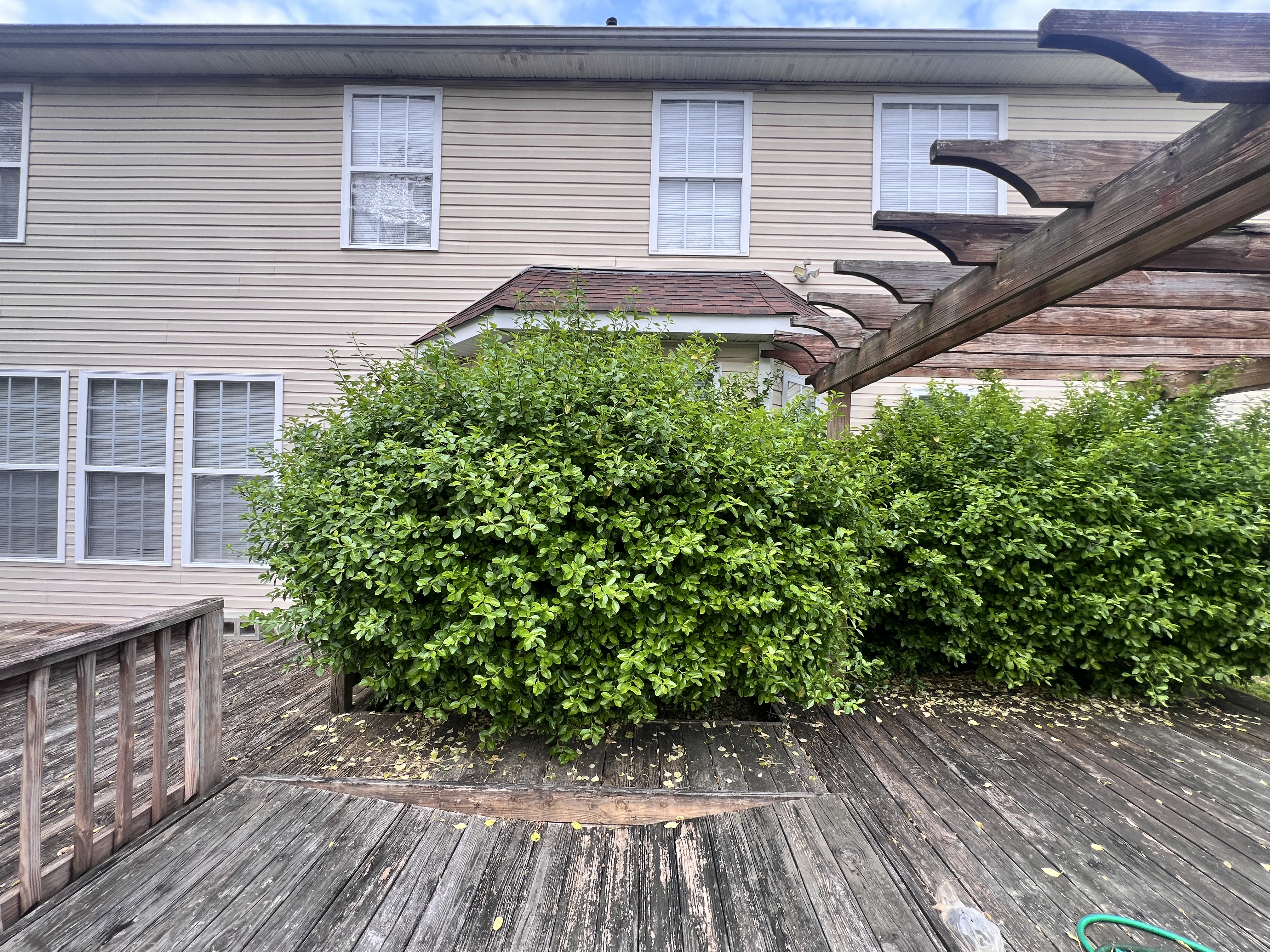 Total Lawncare project 38
