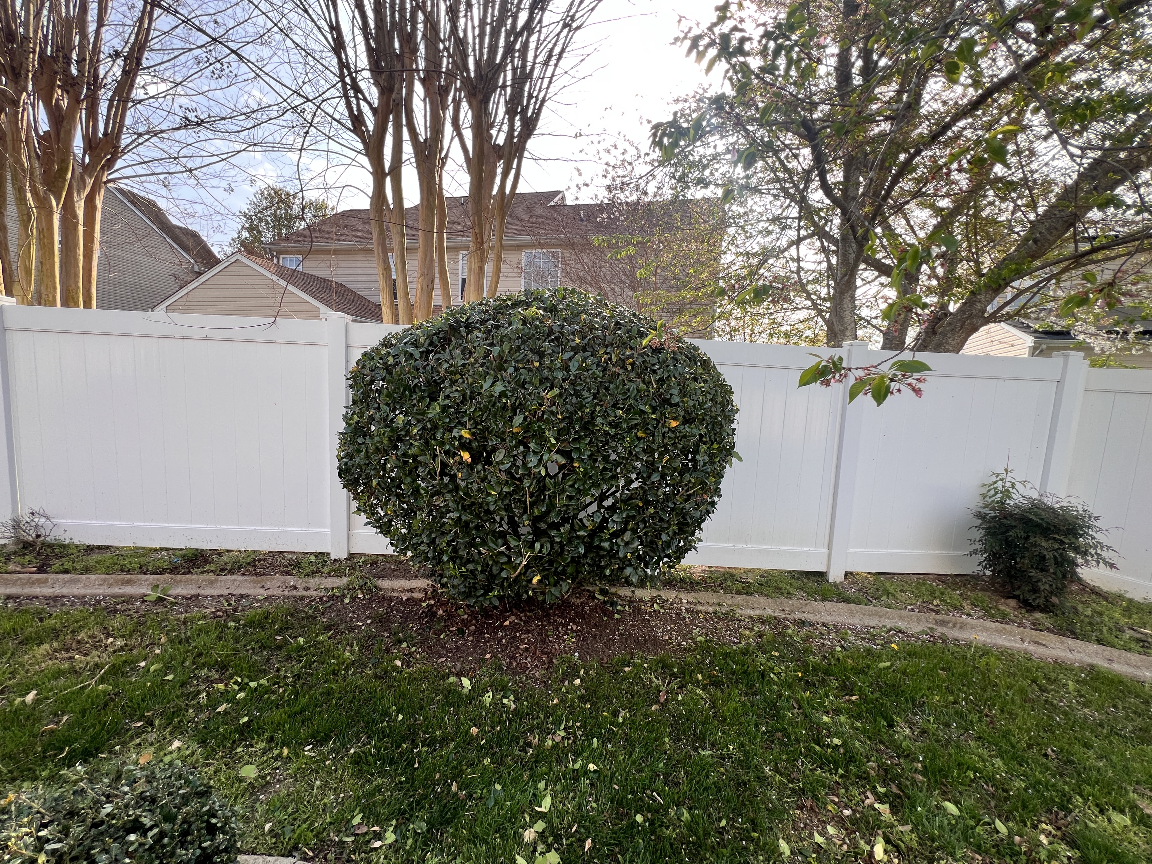 Total Lawncare project 33