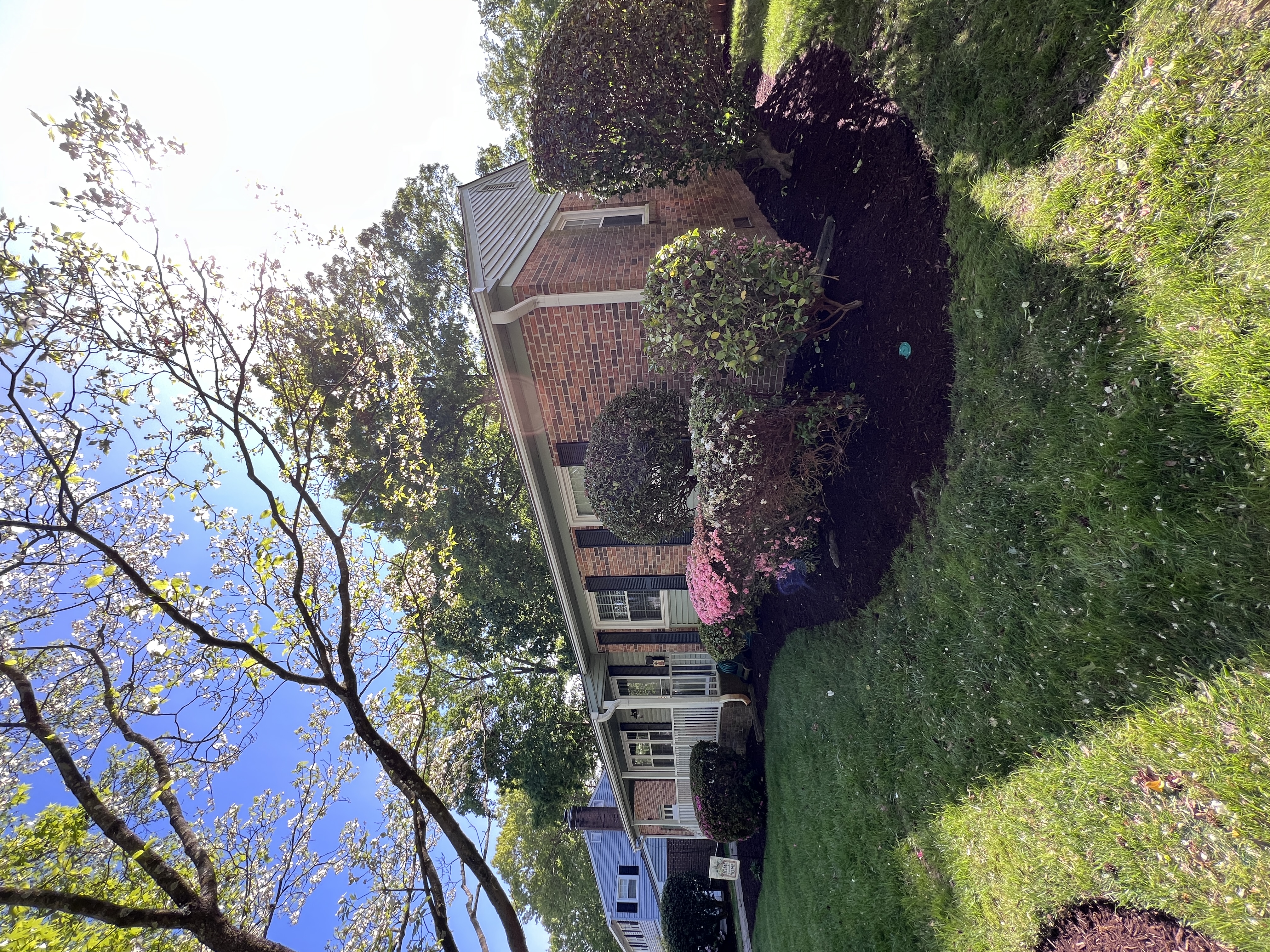 Total Lawncare project 88