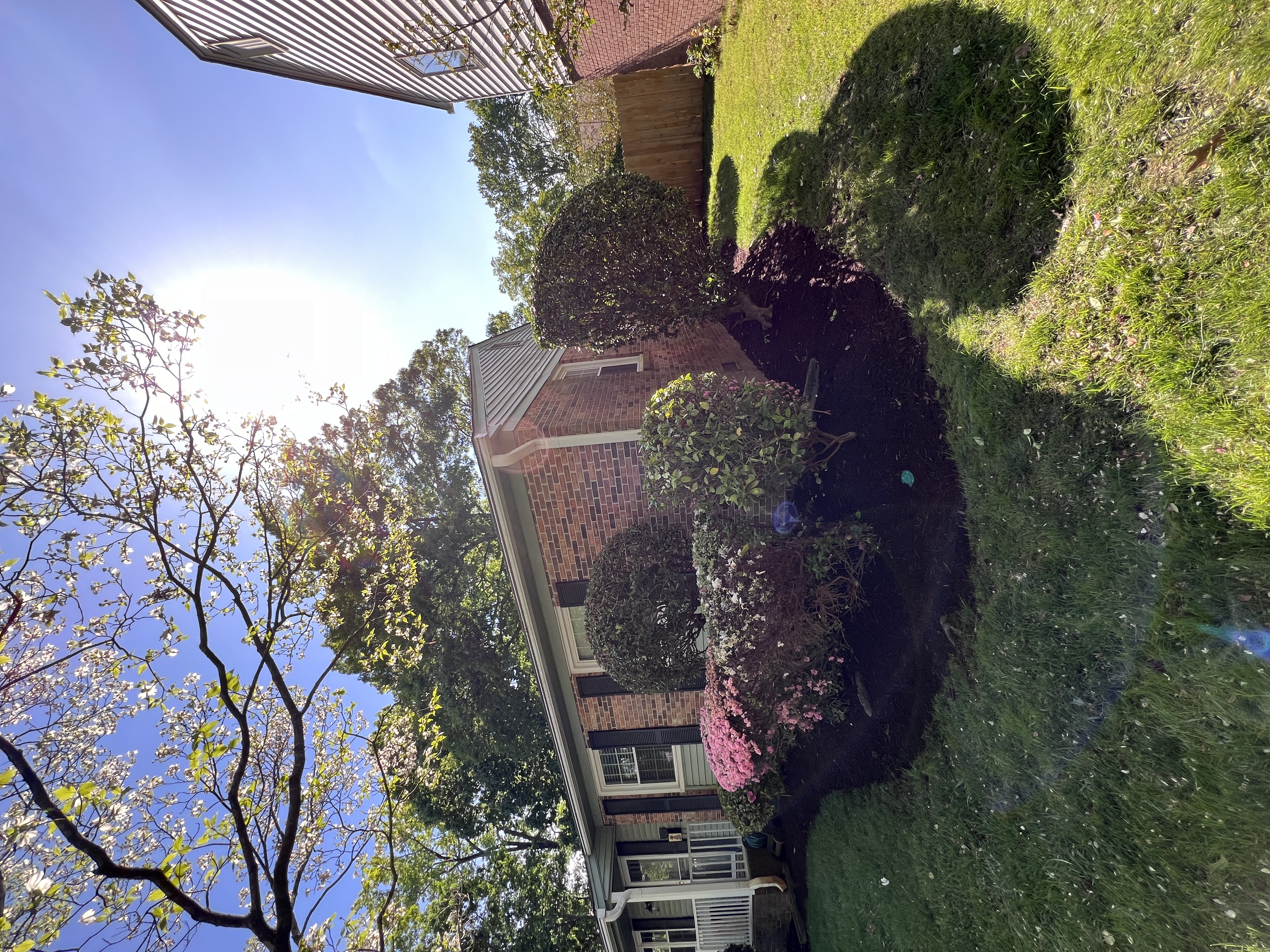 Total Lawncare project 93