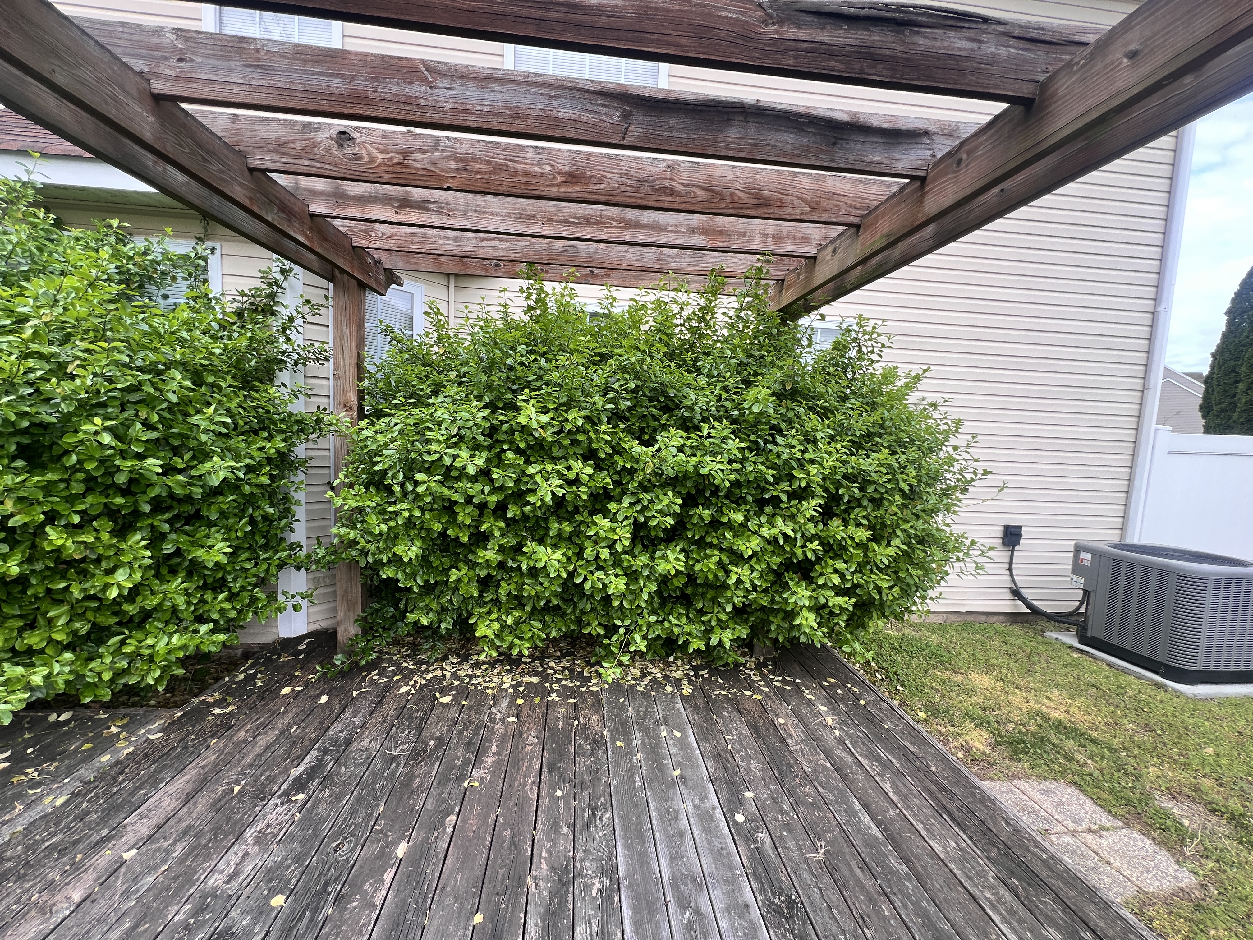 Total Lawncare project 27