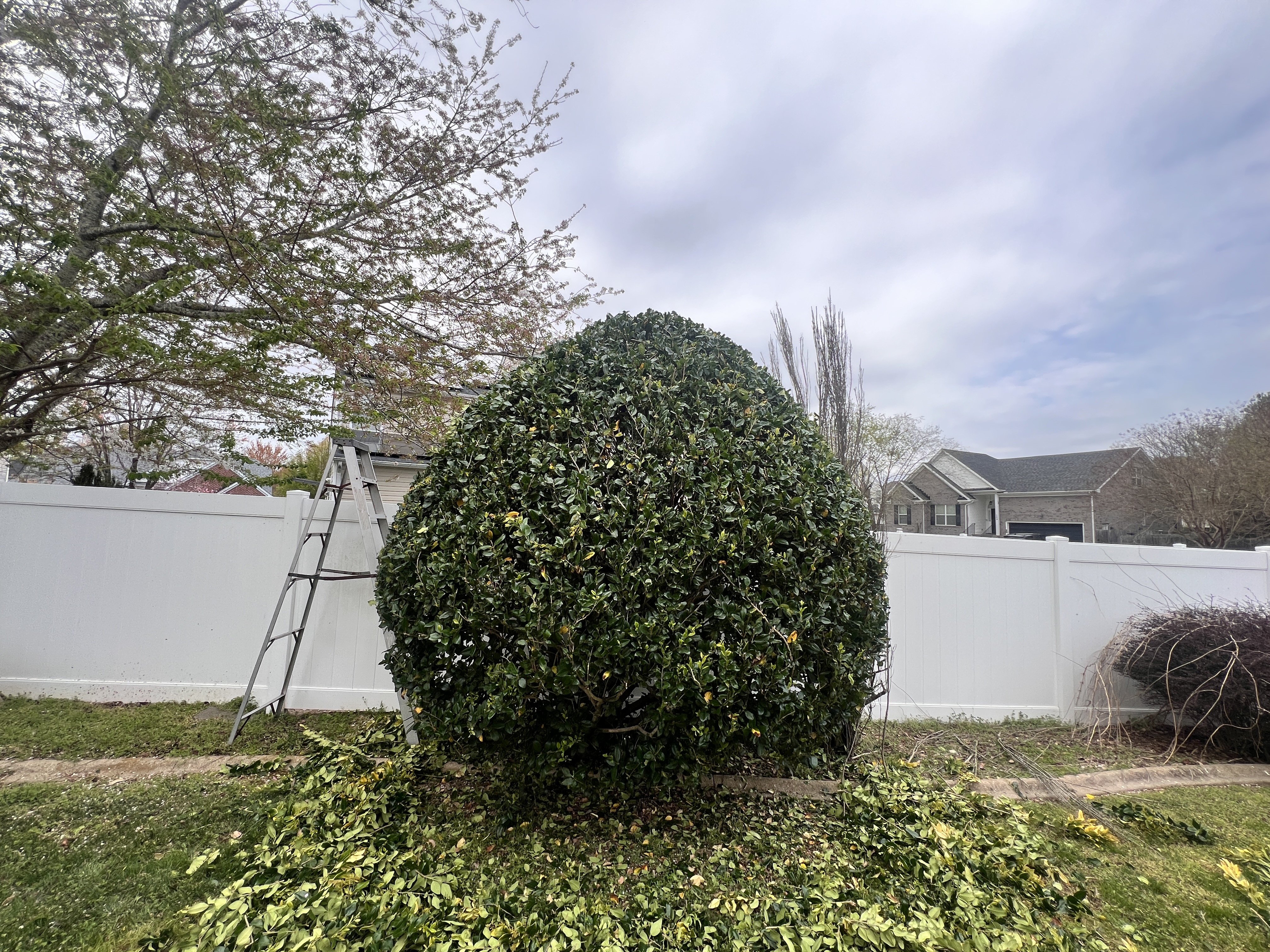 Total Lawncare project 49