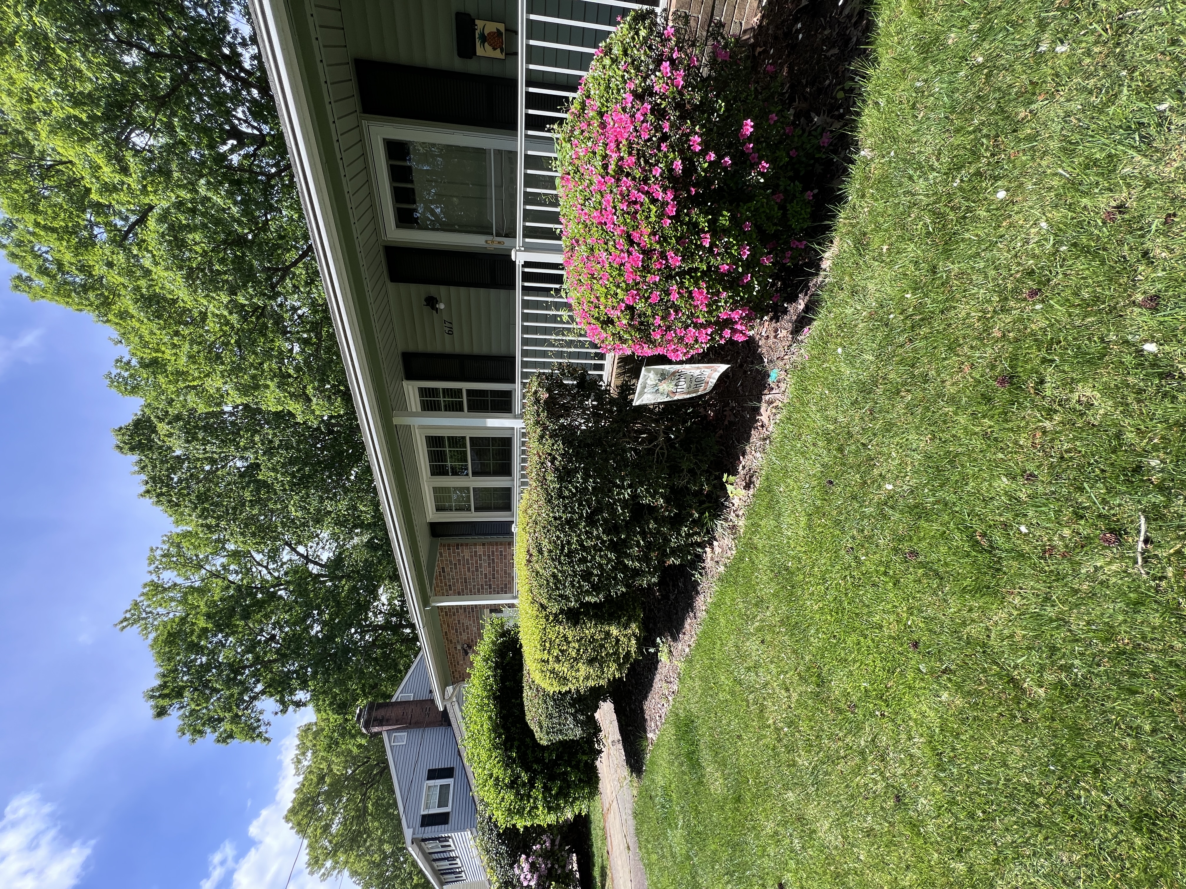 Total Lawncare project 163