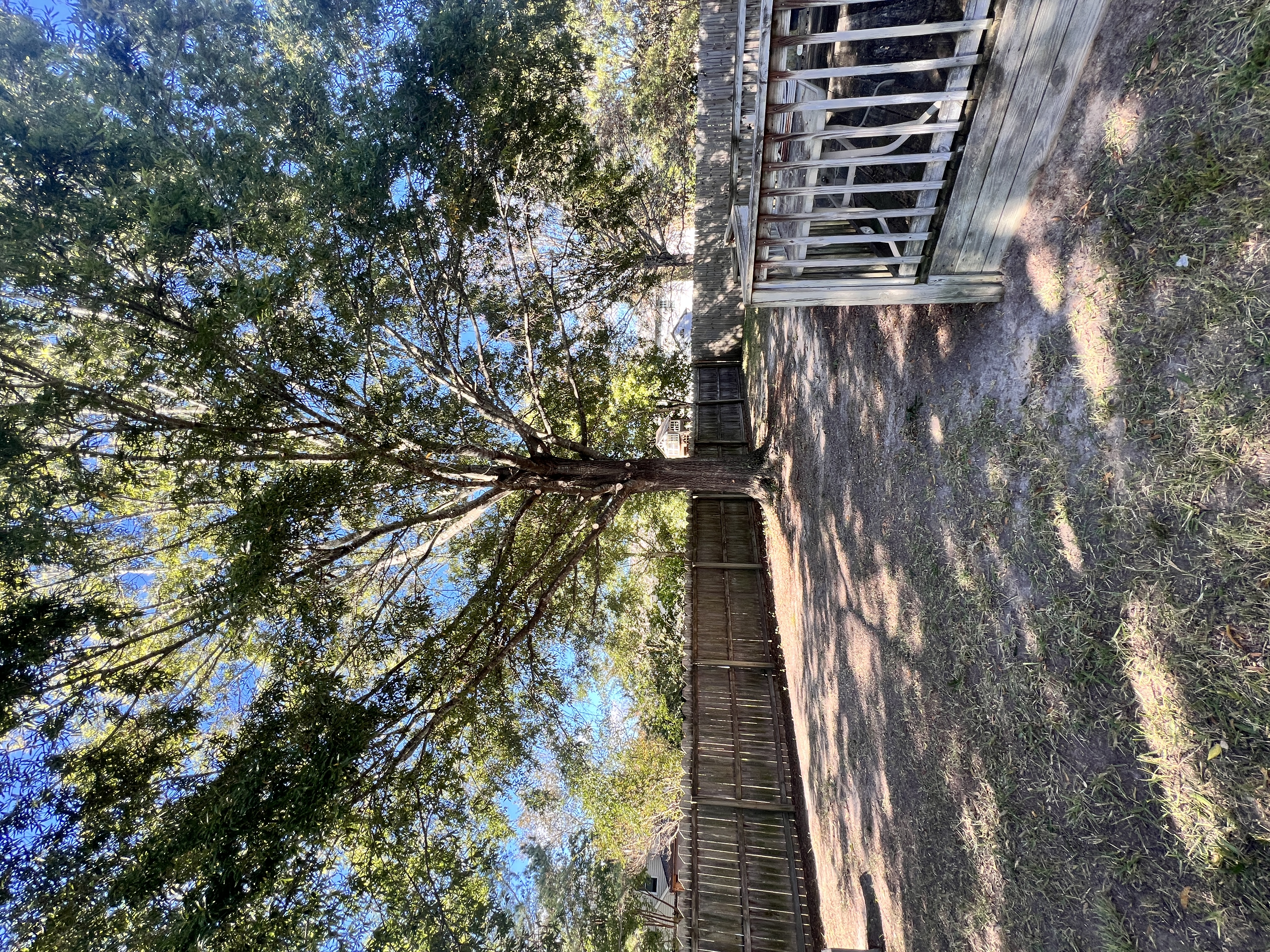 Total Lawncare project 2