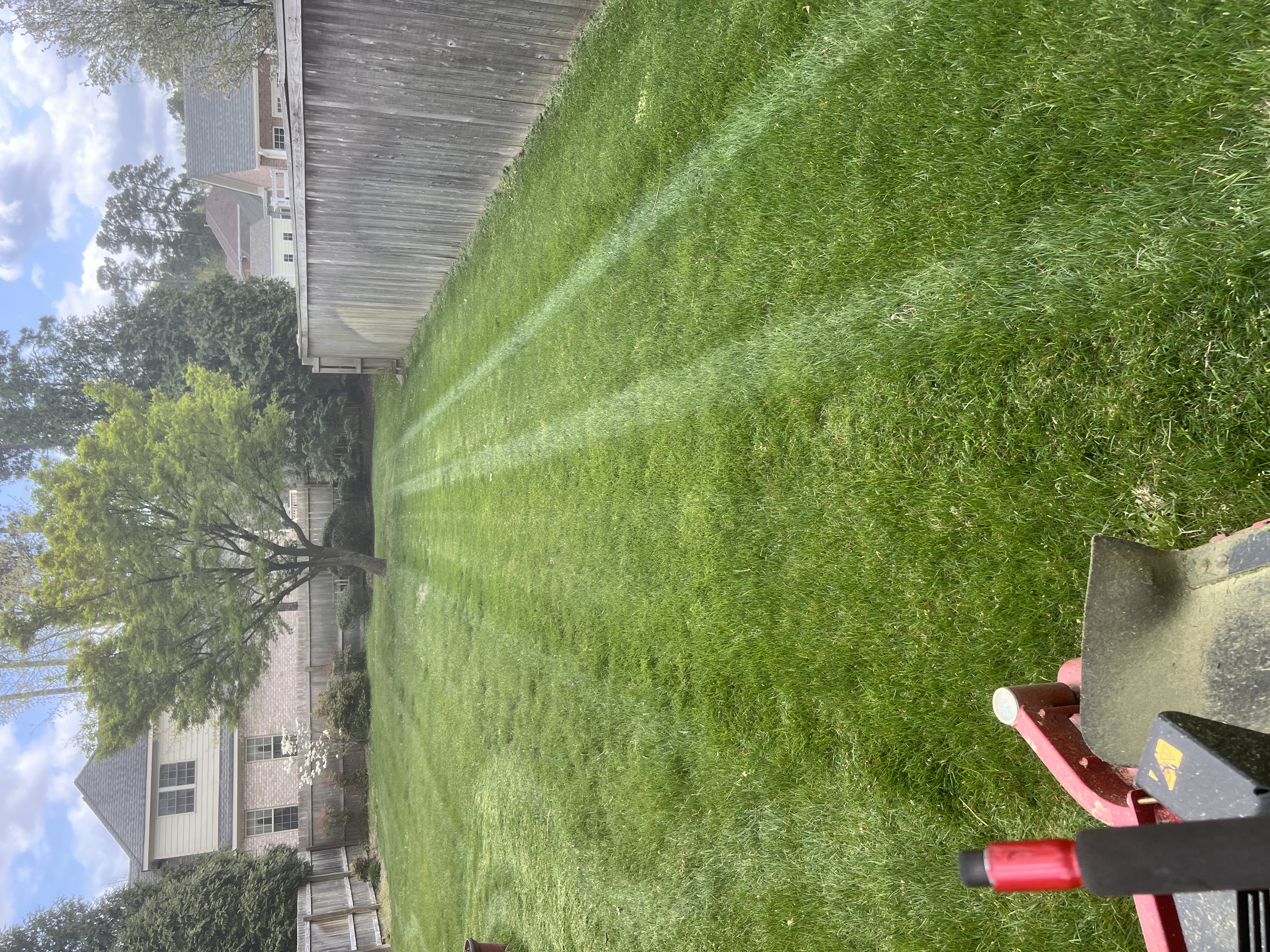 Total Lawncare project 23
