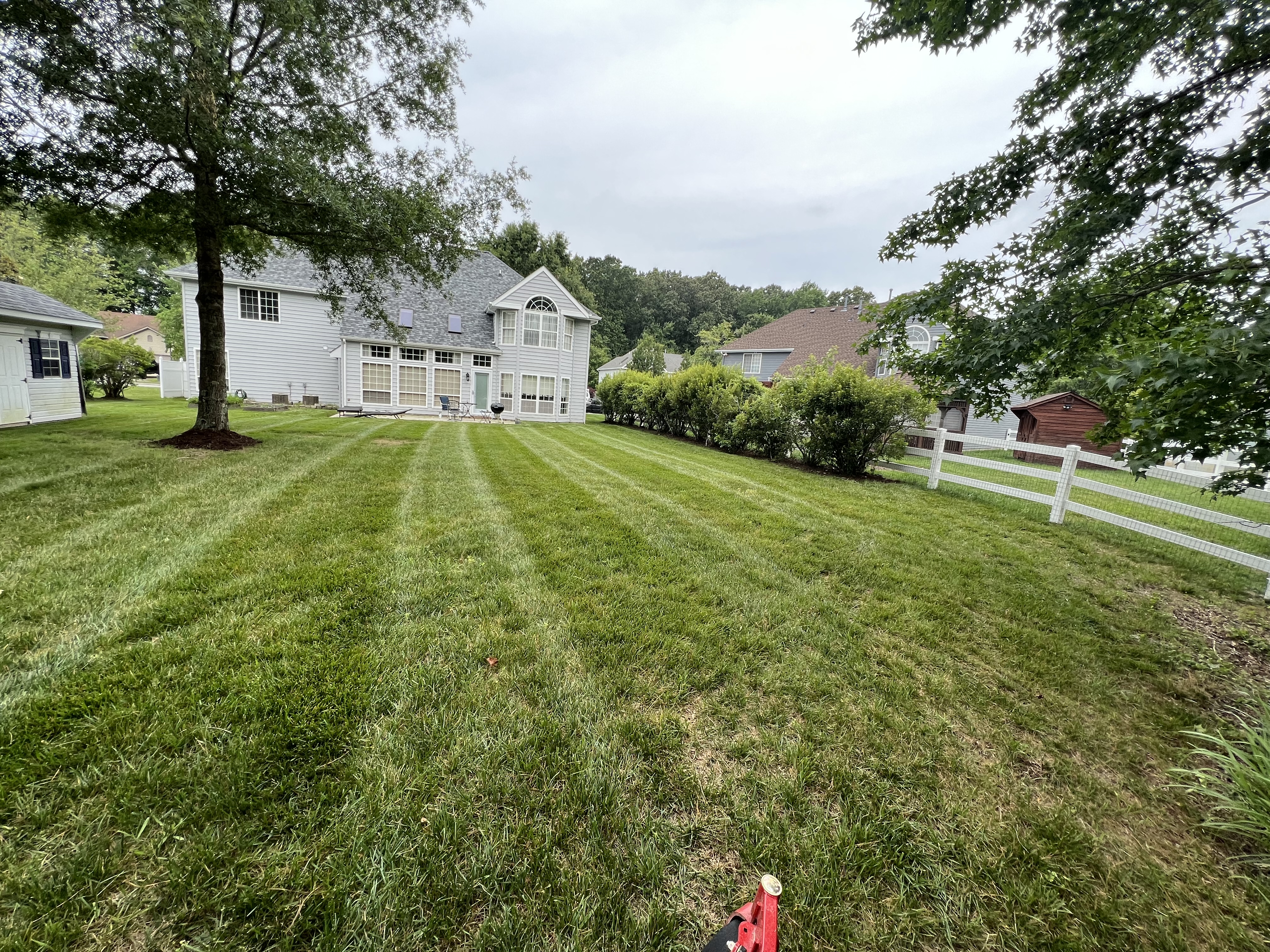 Total Lawncare project 100