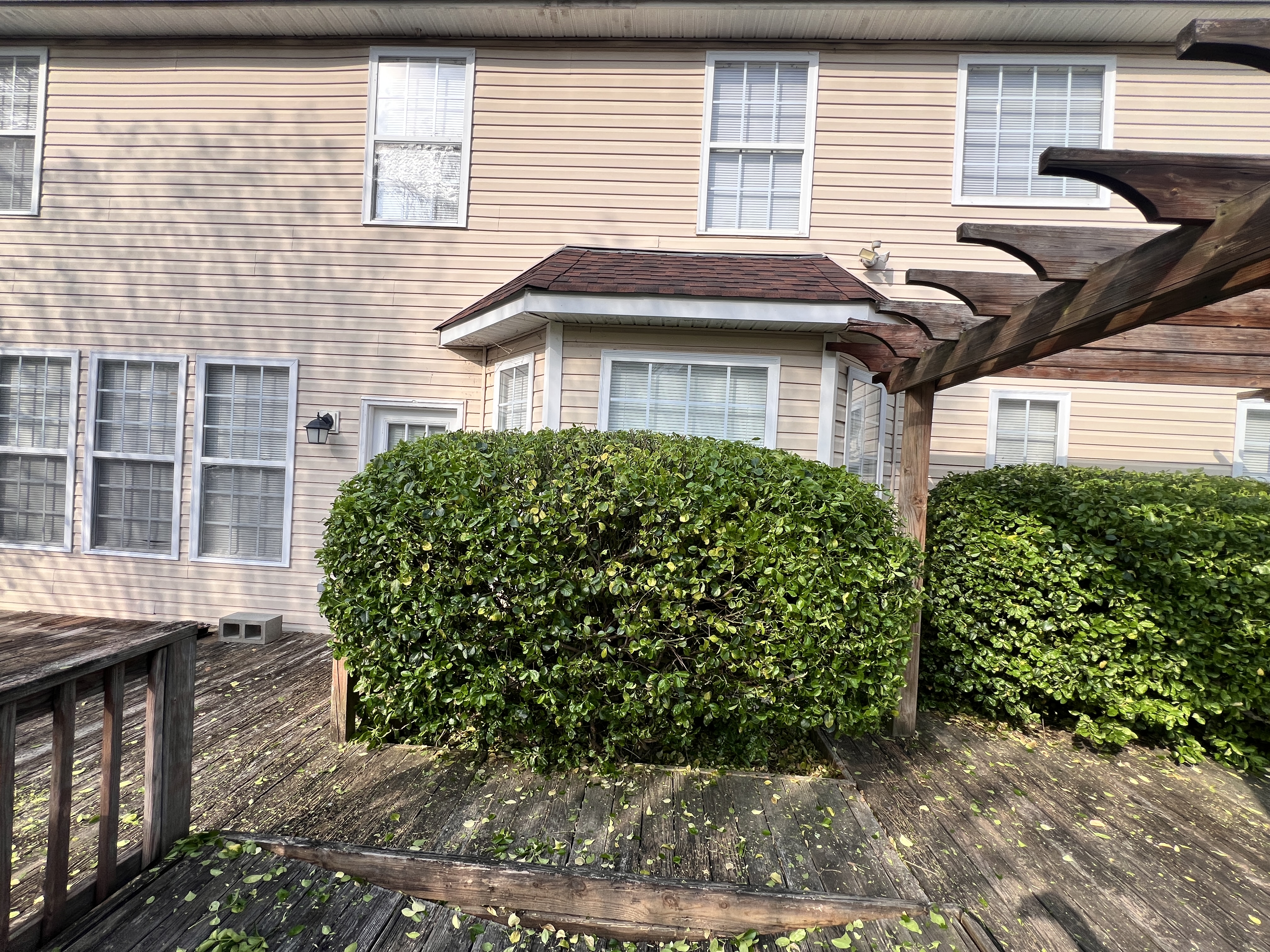 Total Lawncare project 42