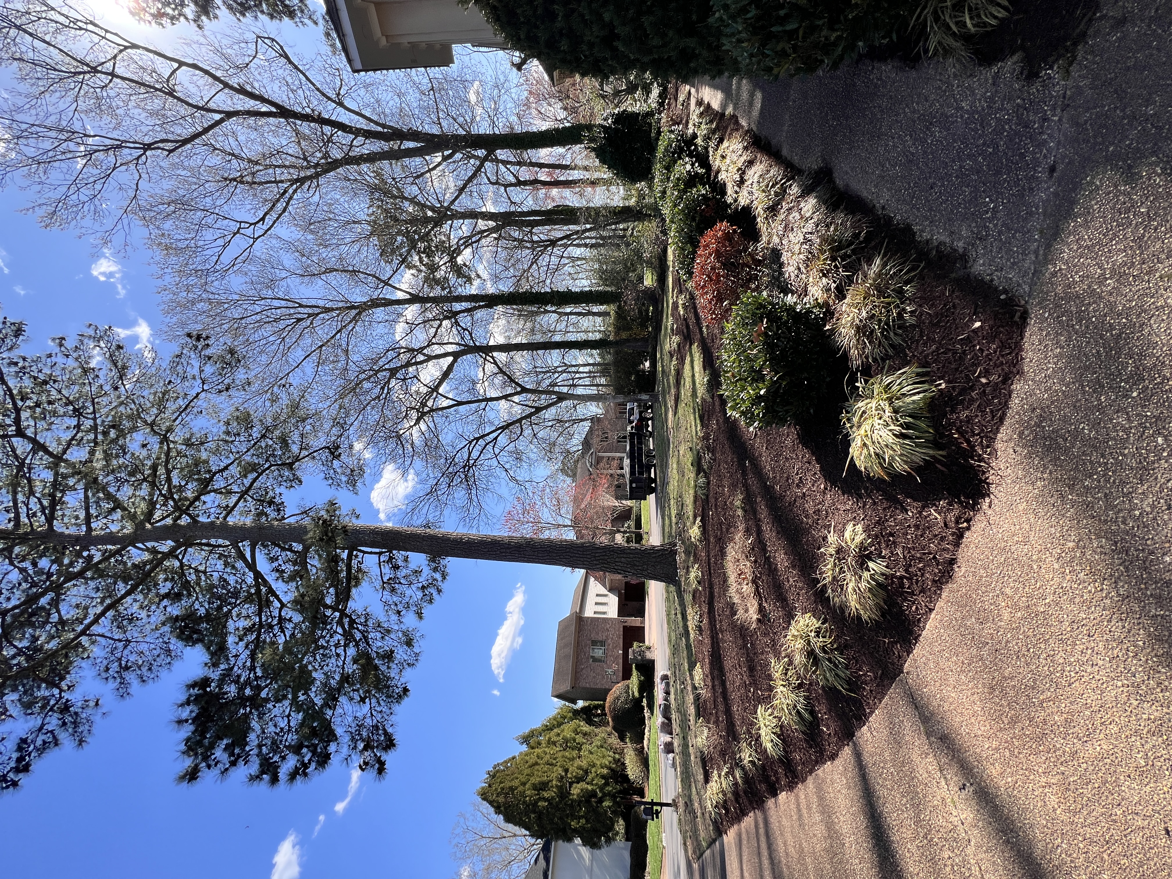 Total Lawncare project 11