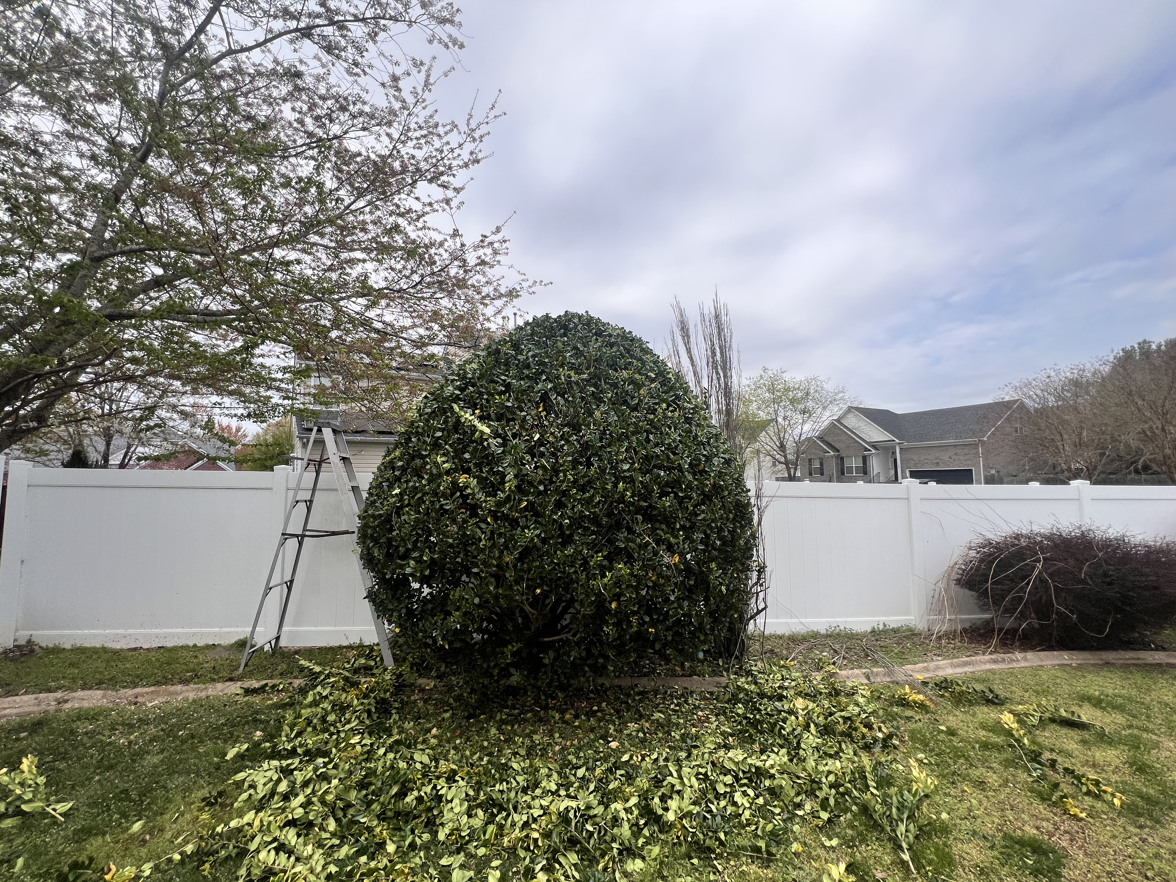 Total Lawncare project 53