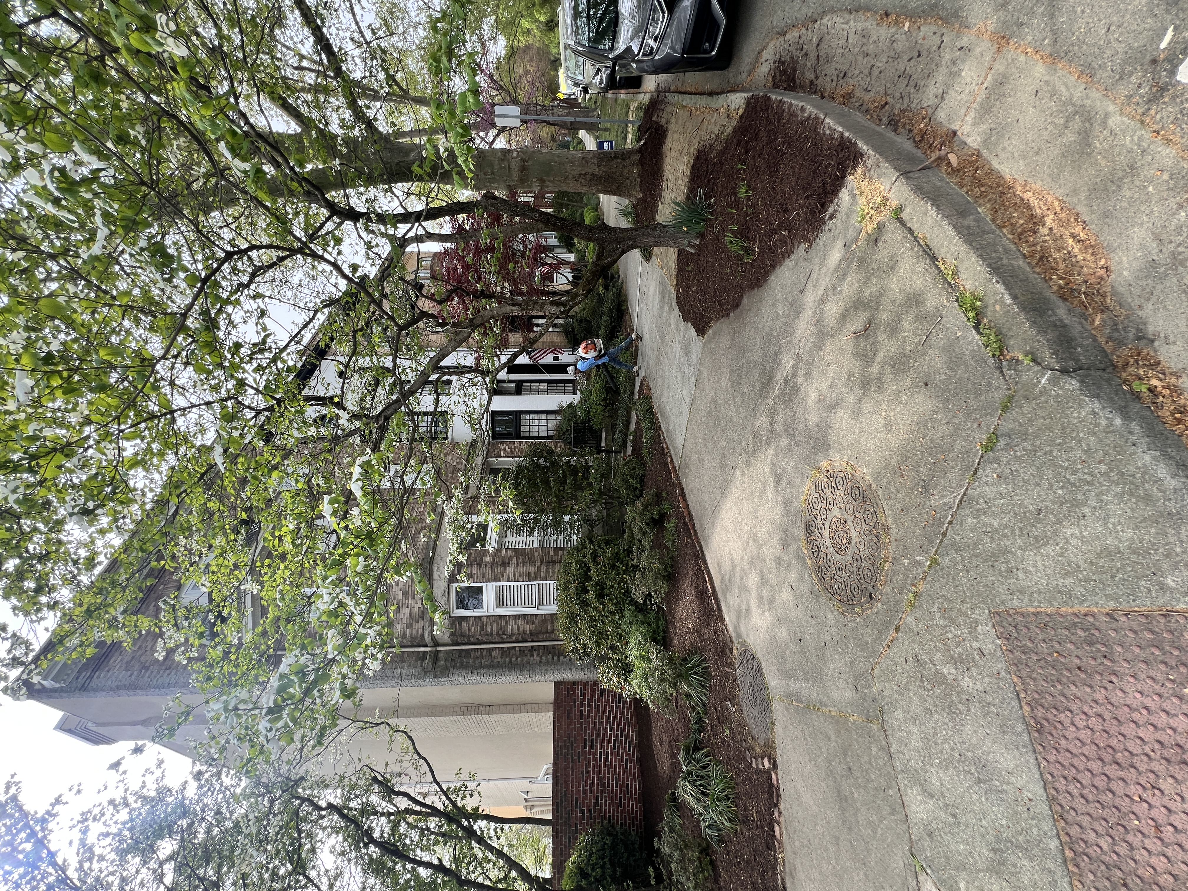 Total Lawncare project 16