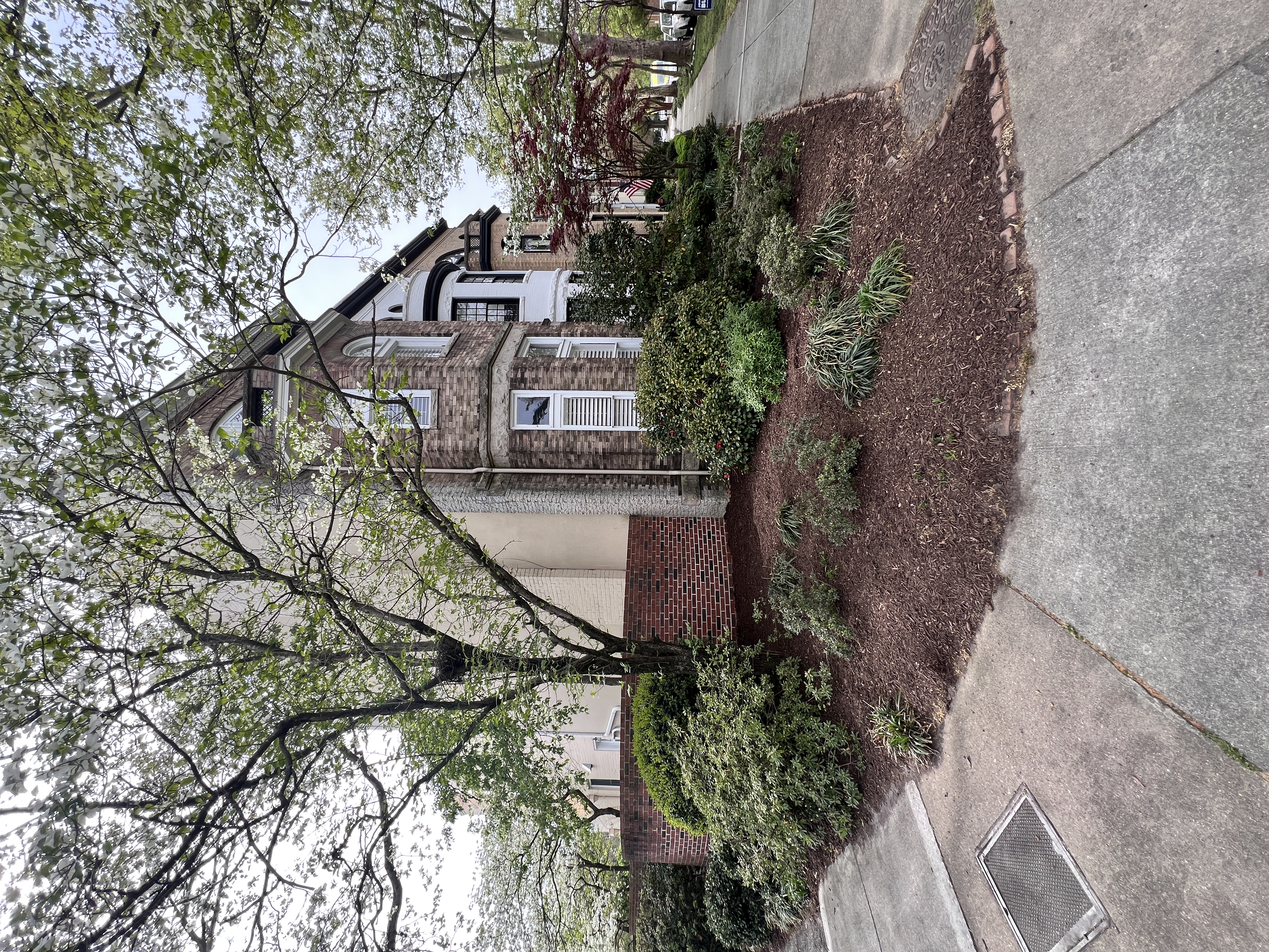 Total Lawncare project 9