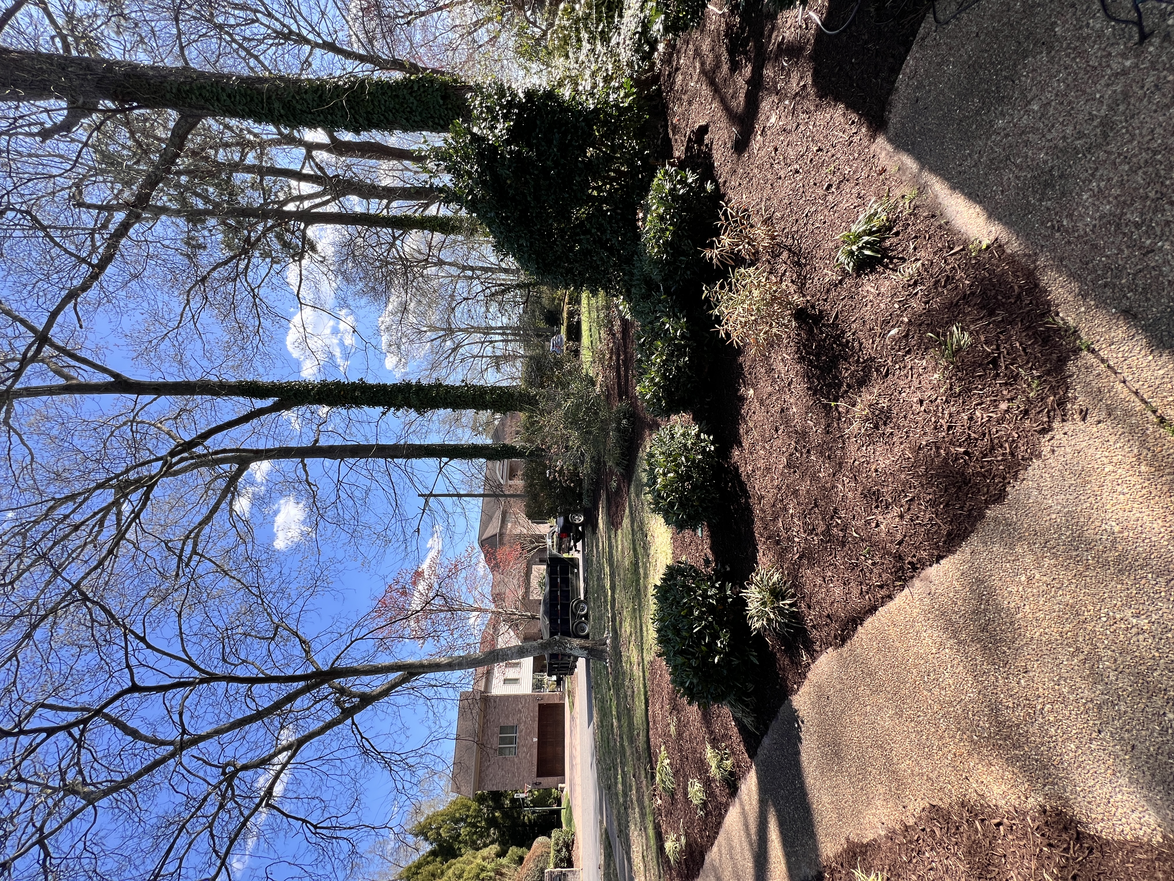 Total Lawncare project 3