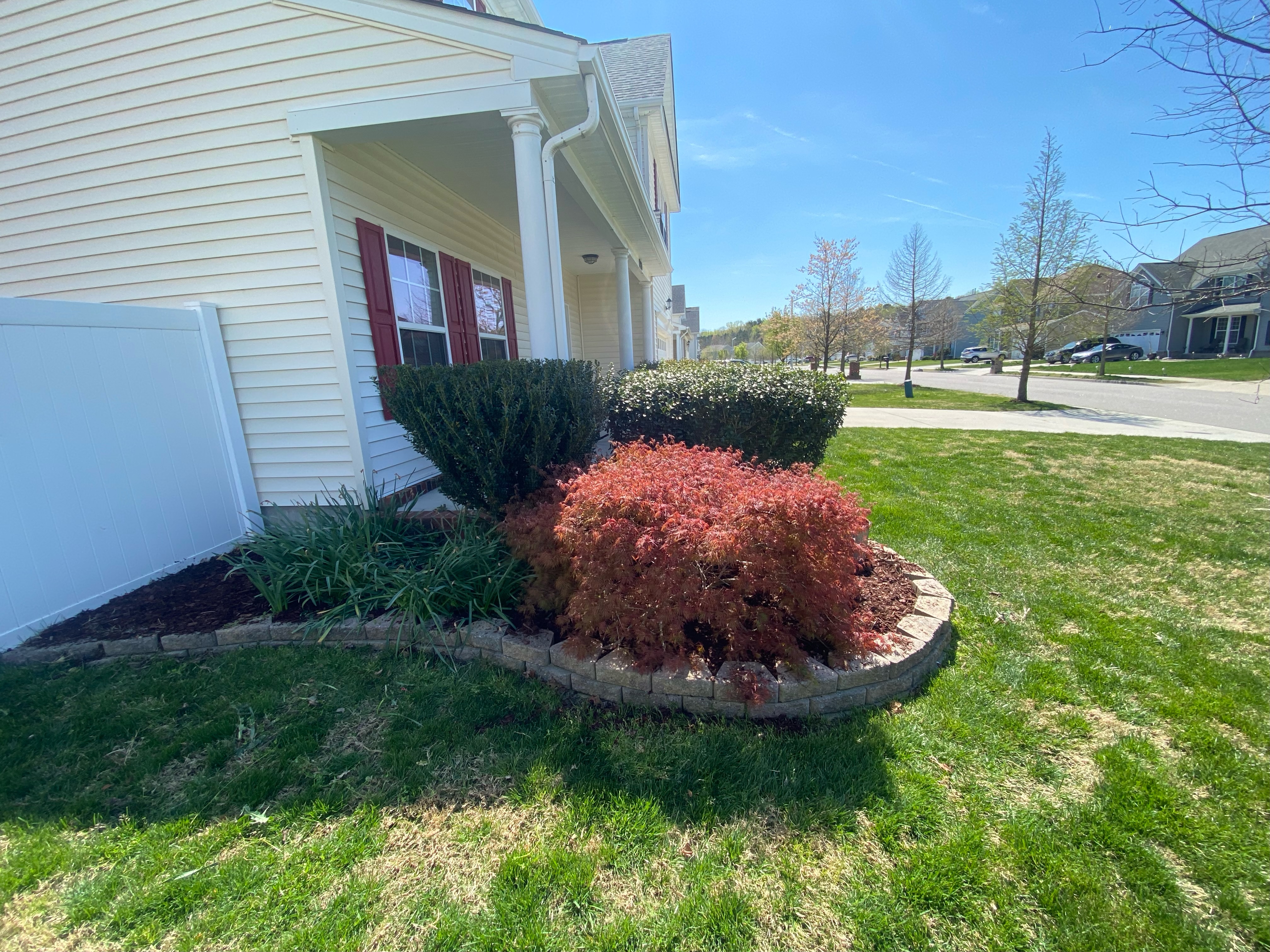 Total Lawncare project 77