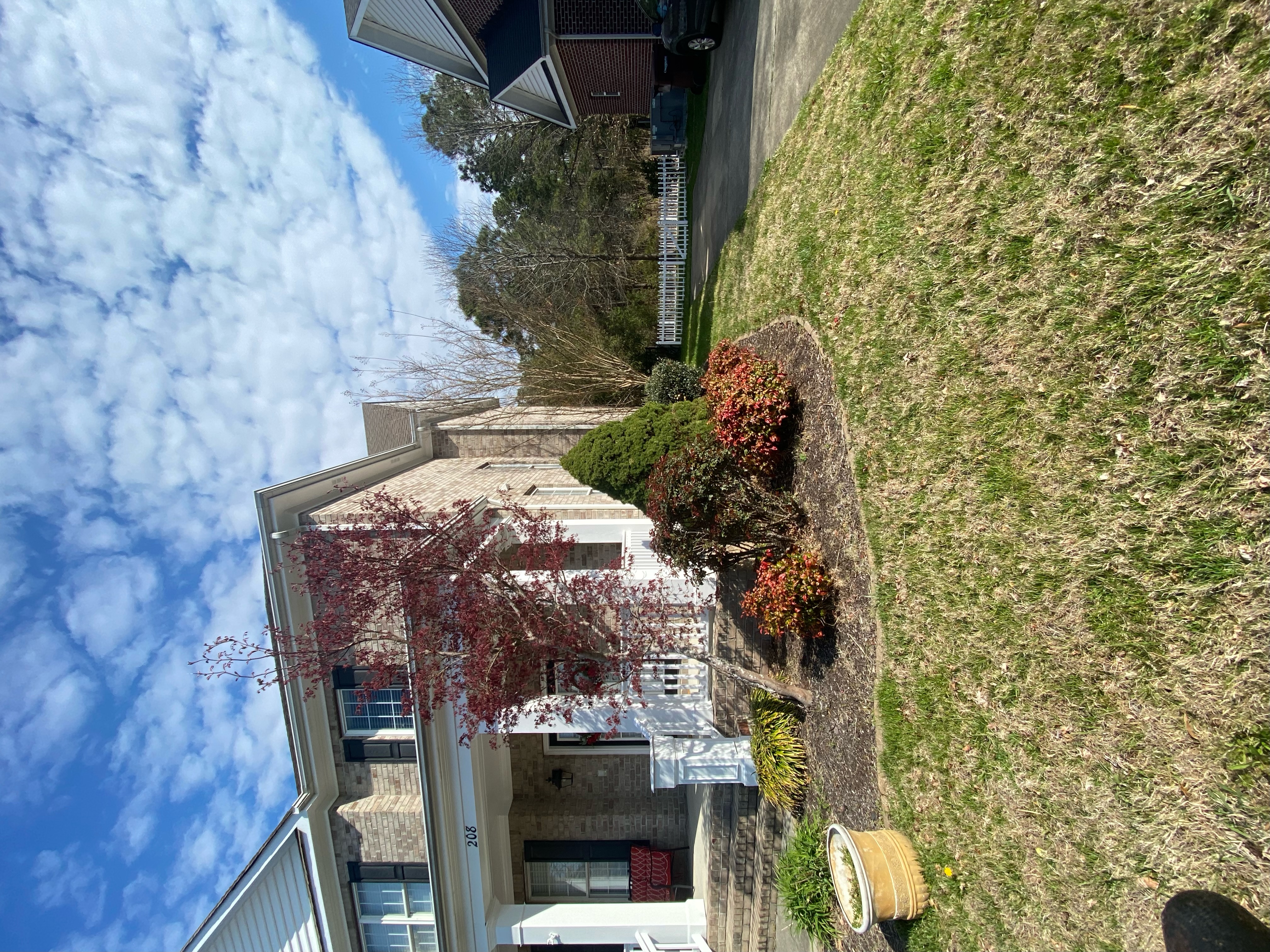 Total Lawncare project 54