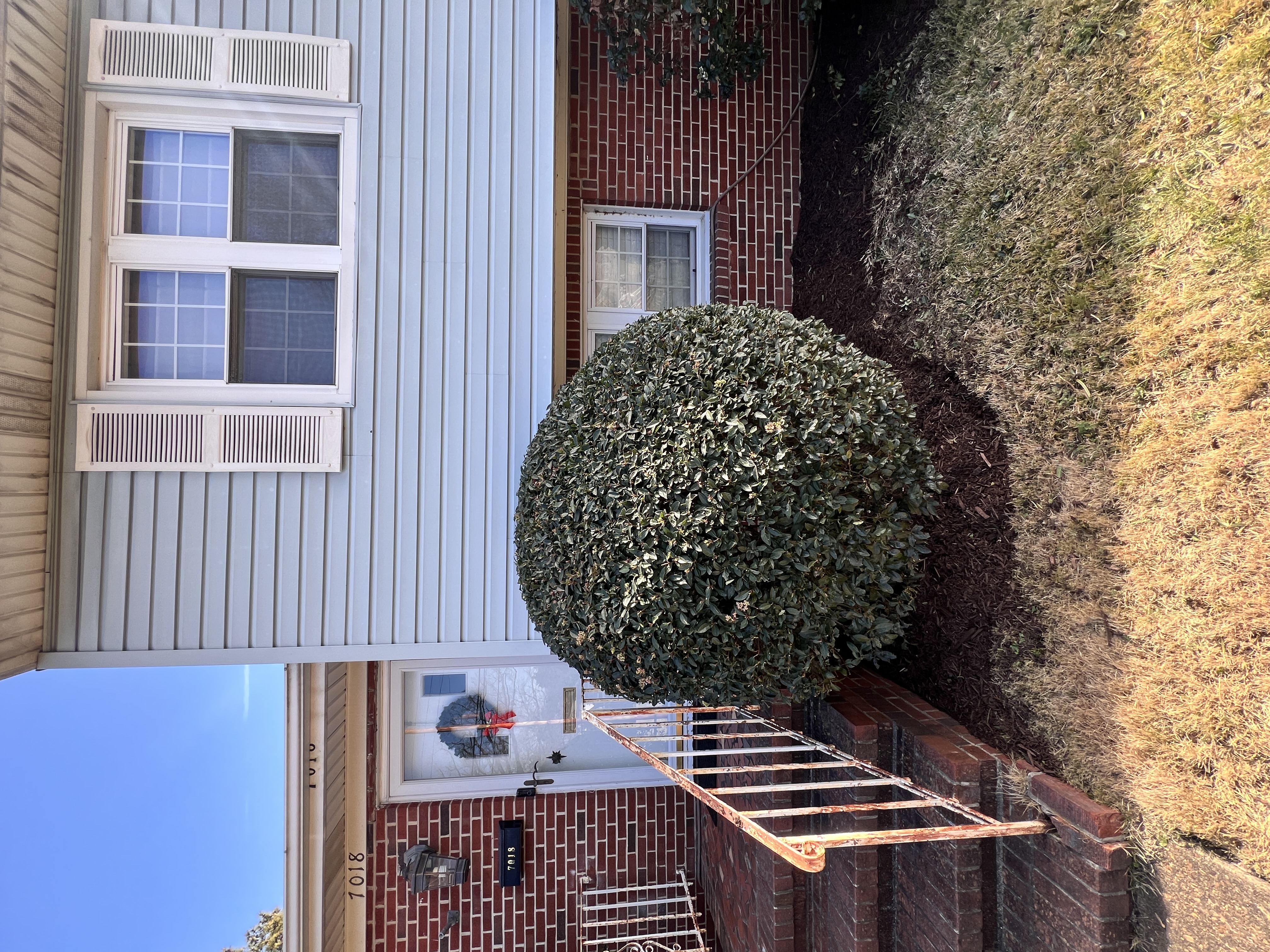 Total Lawncare project 66