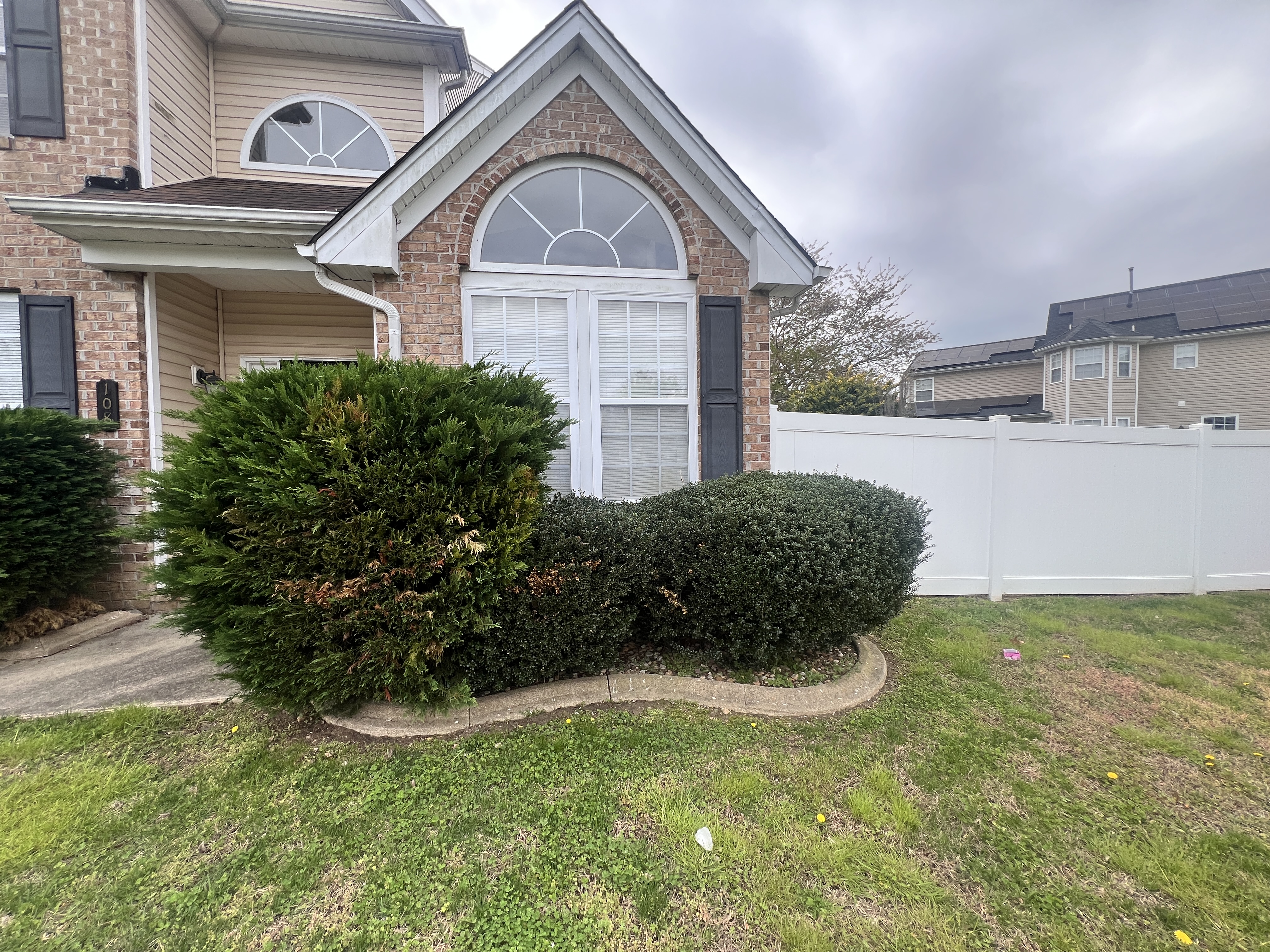 Total Lawncare project 59