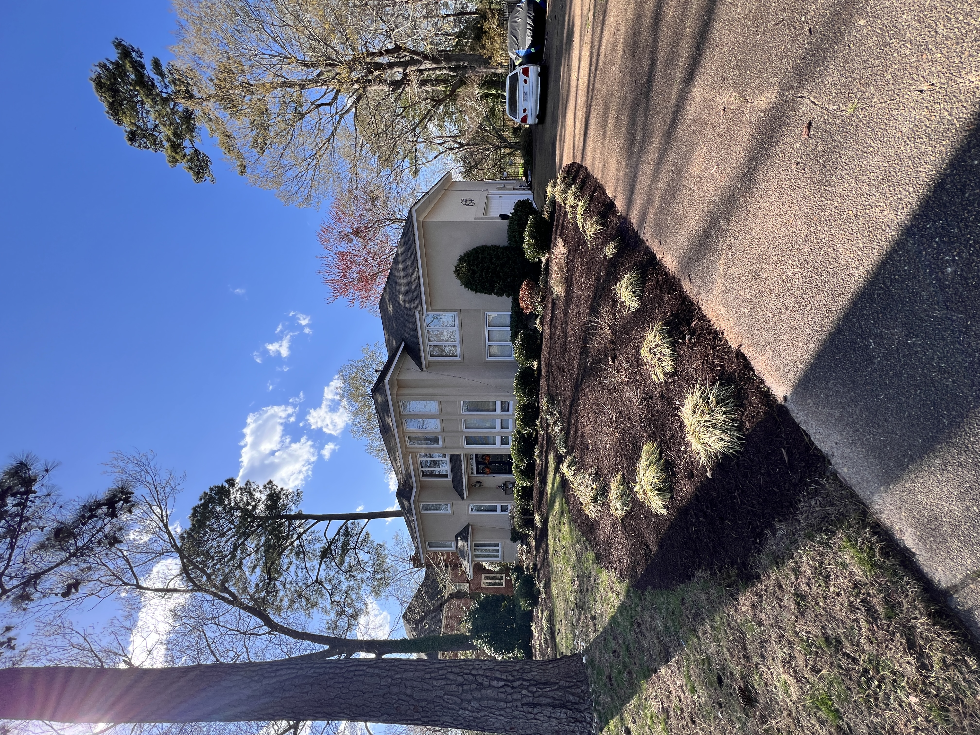 Total Lawncare project 32