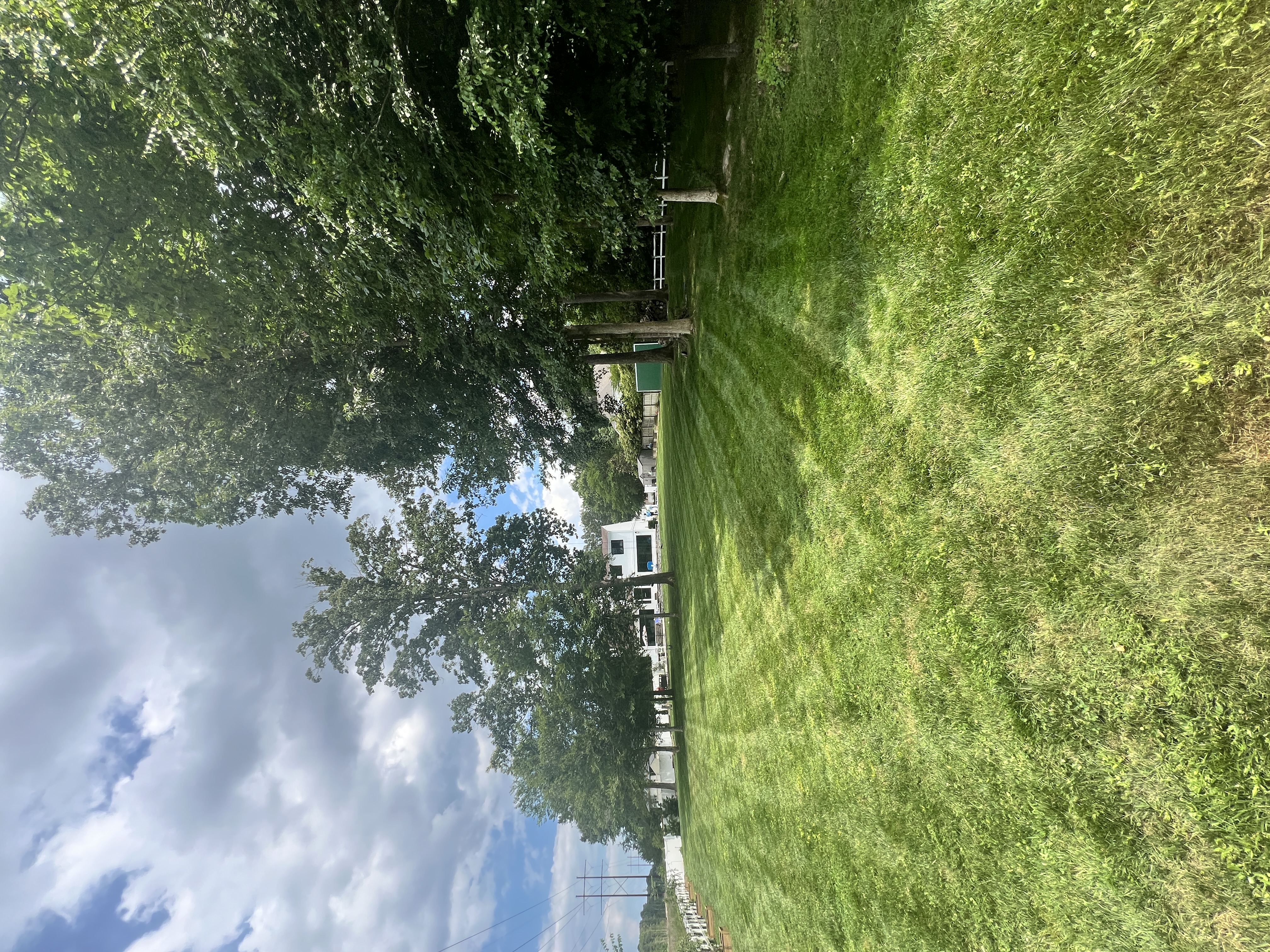 Total Lawncare project 28