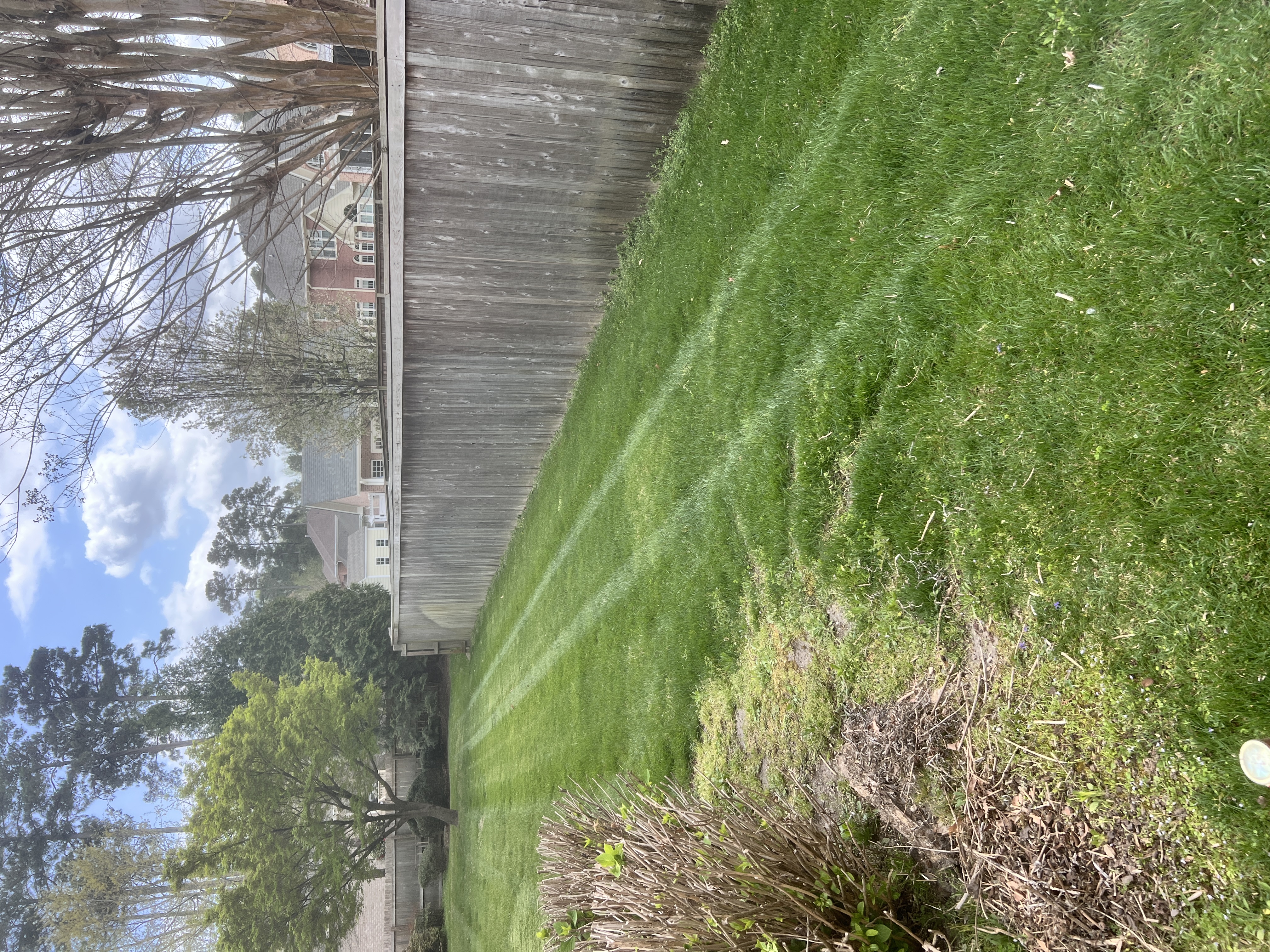 Total Lawncare project 24