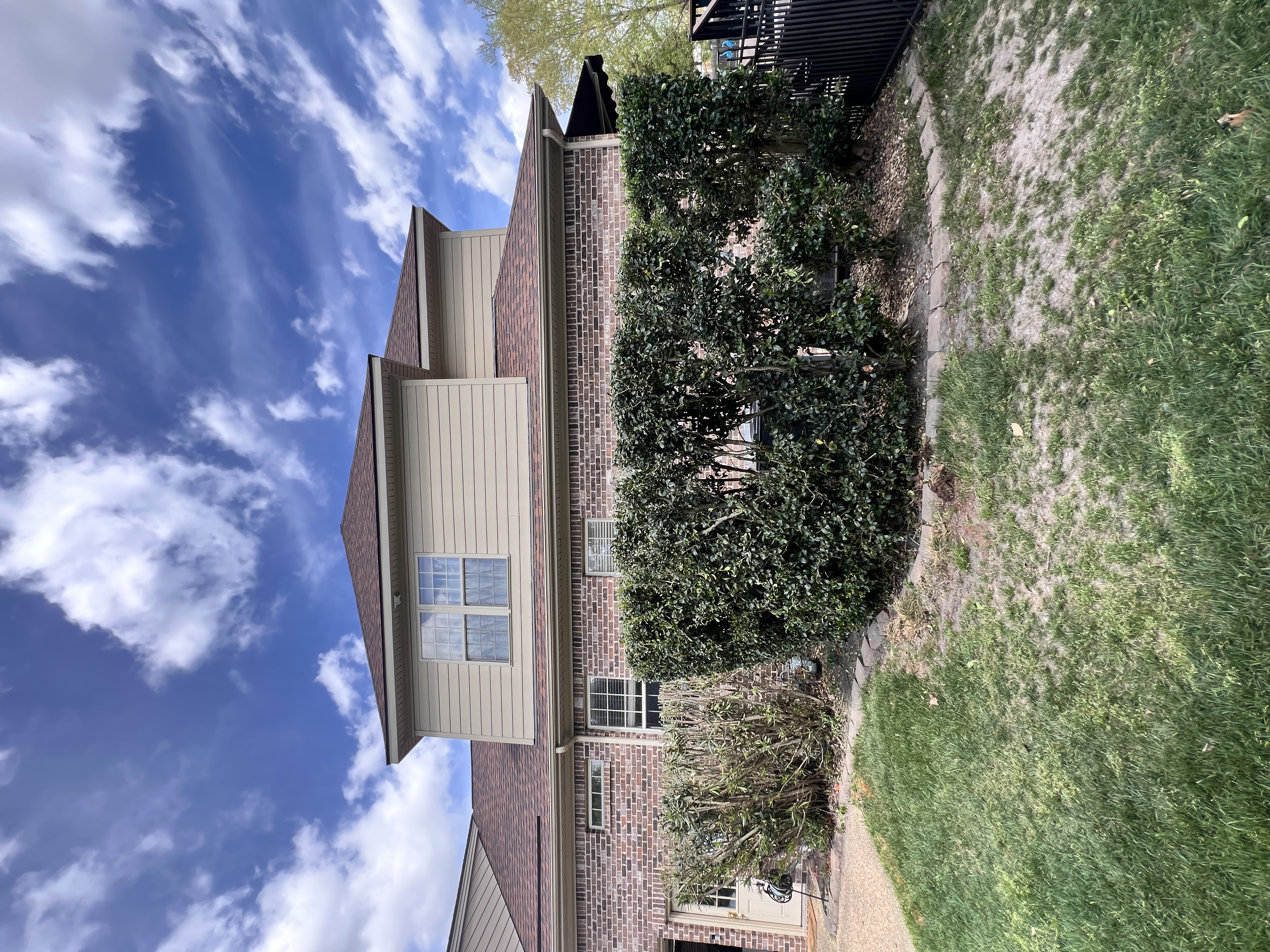 Total Lawncare project 70