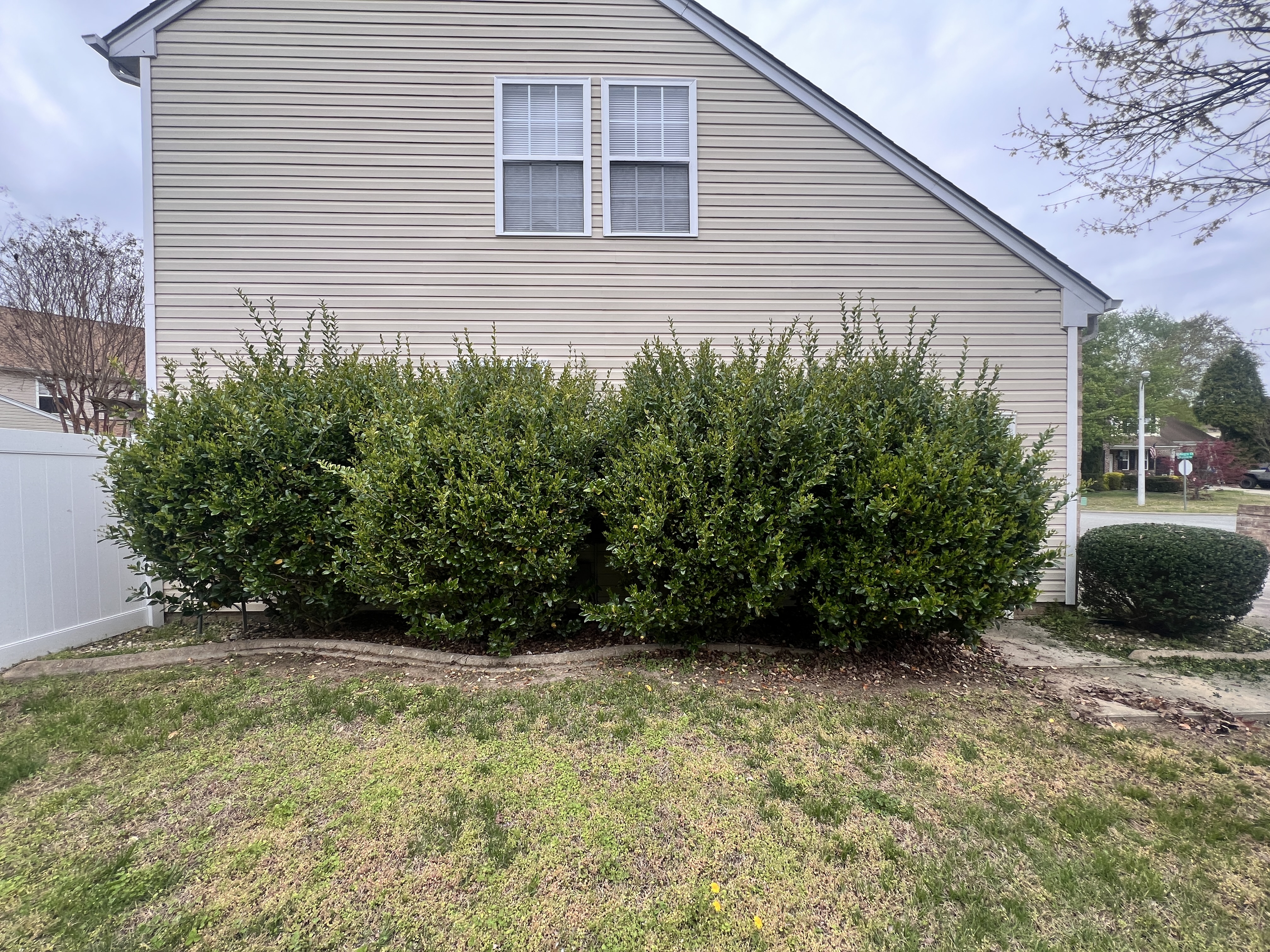 Total Lawncare project 34