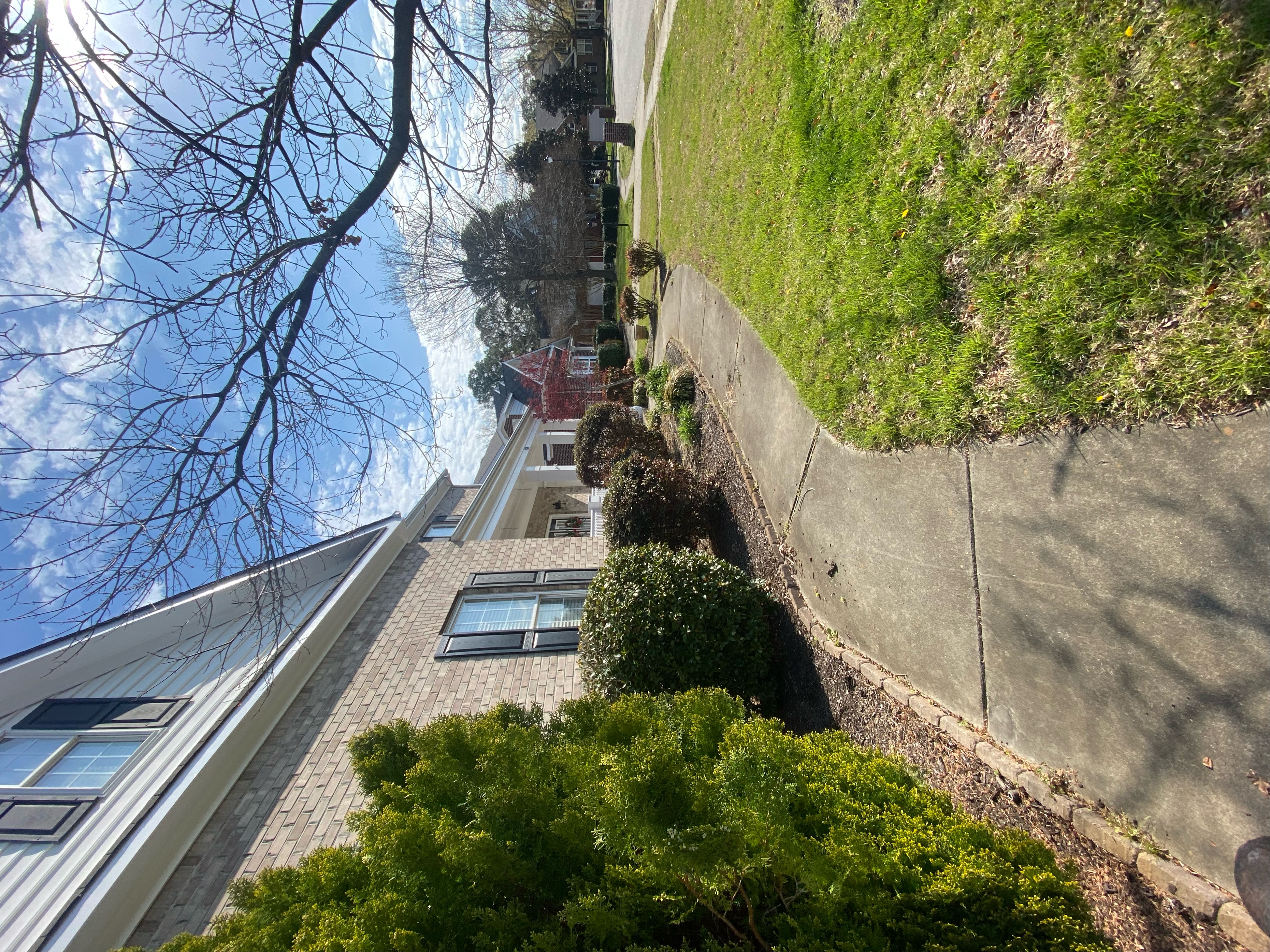 Total Lawncare project 46