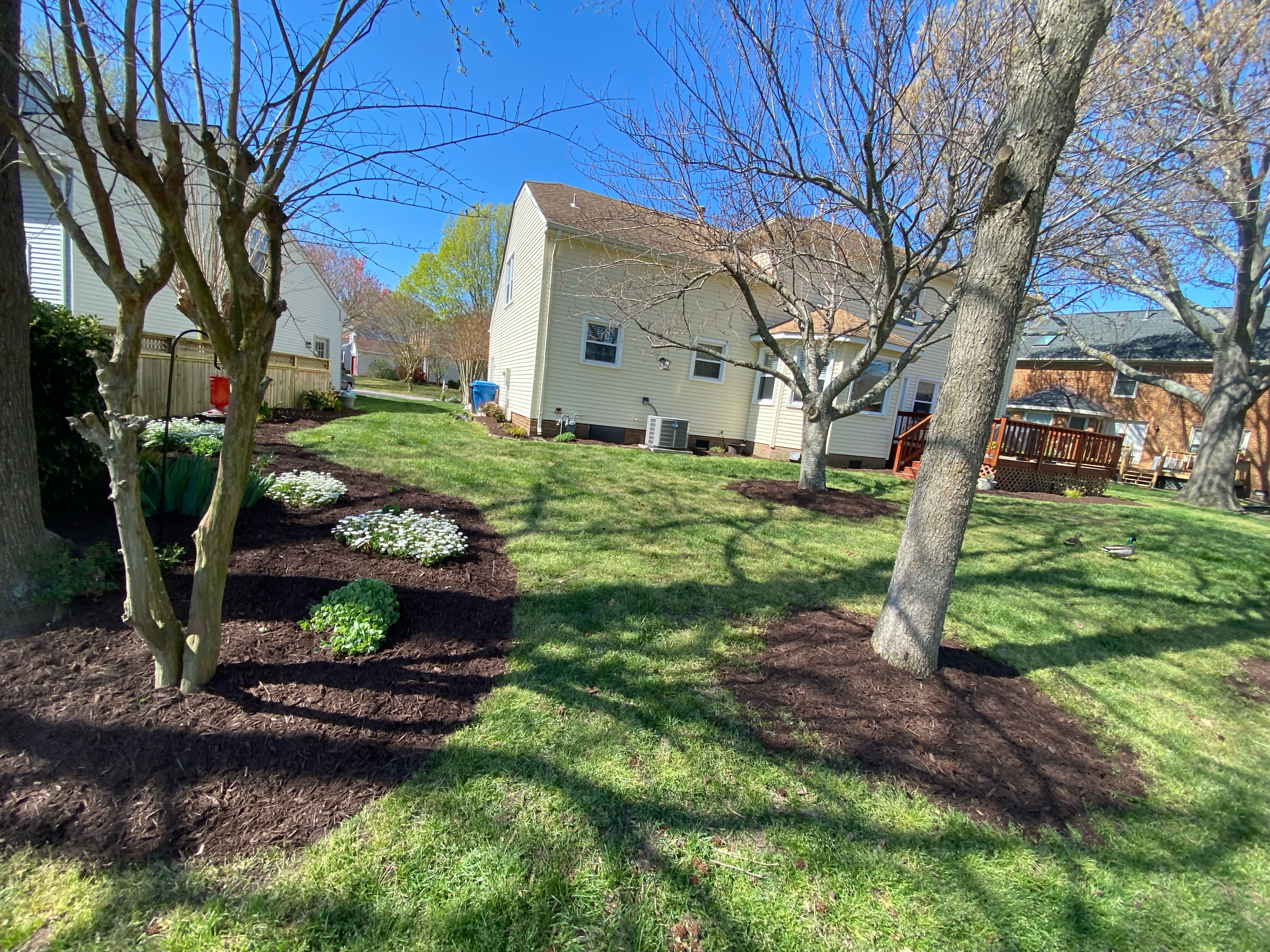 Total Lawncare project 52
