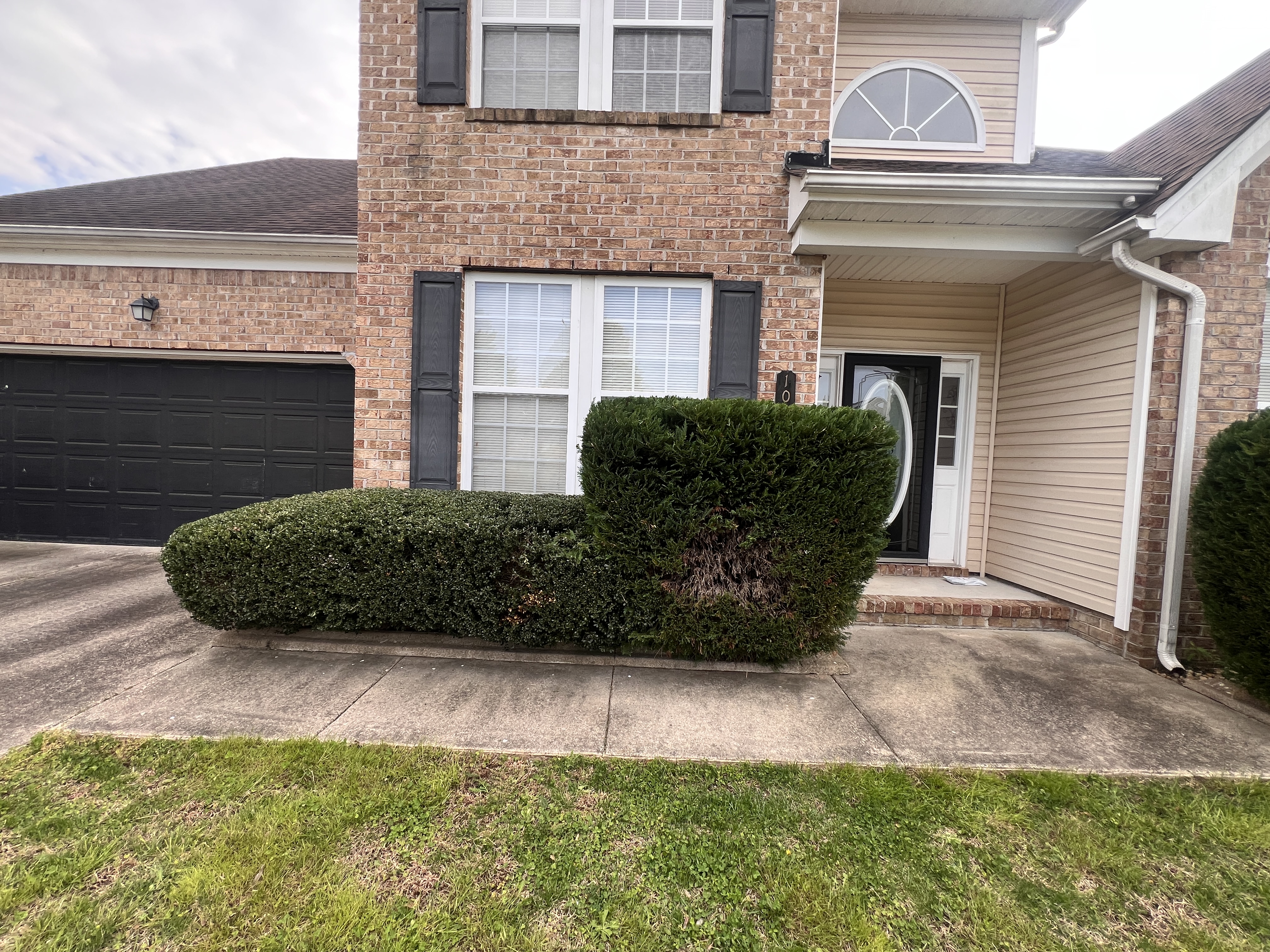Total Lawncare project 47