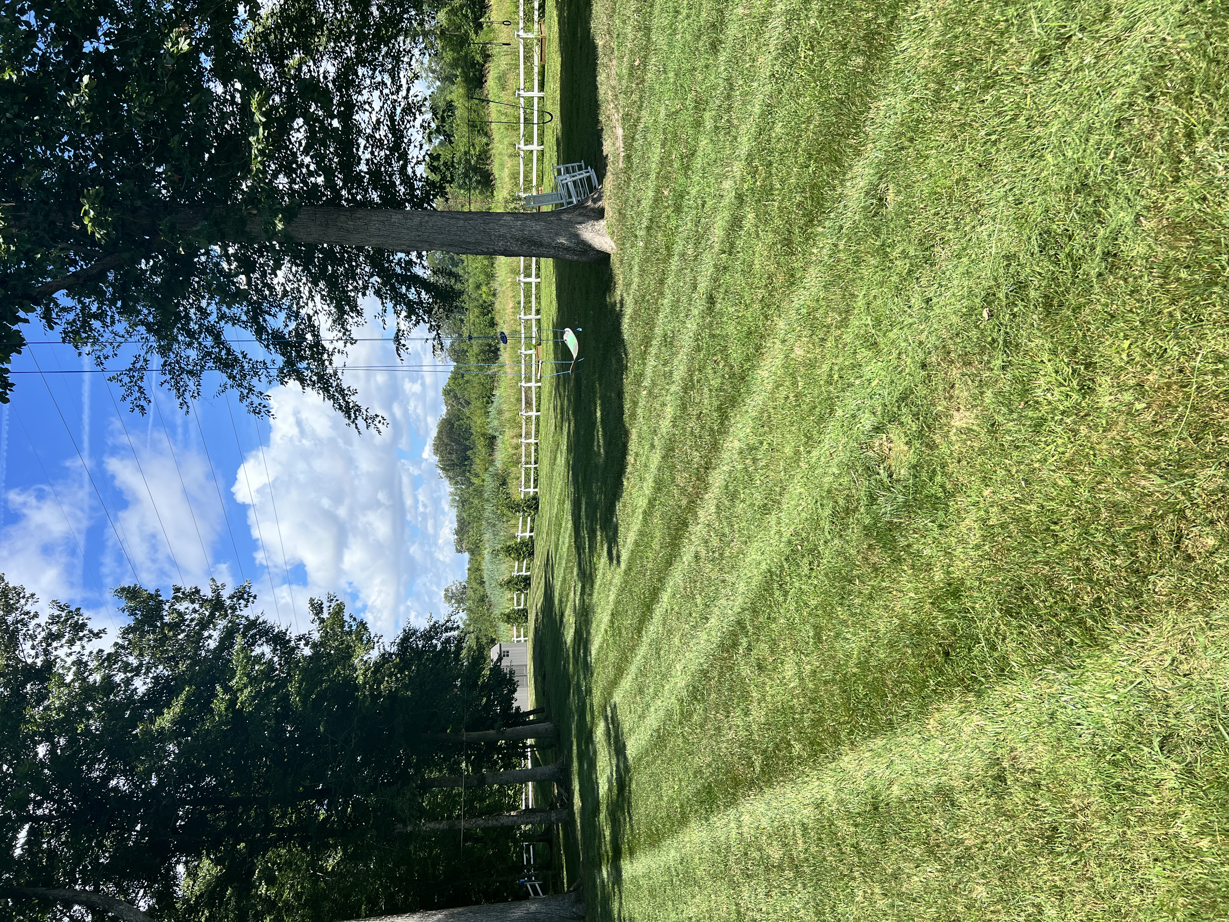 Total Lawncare project 1