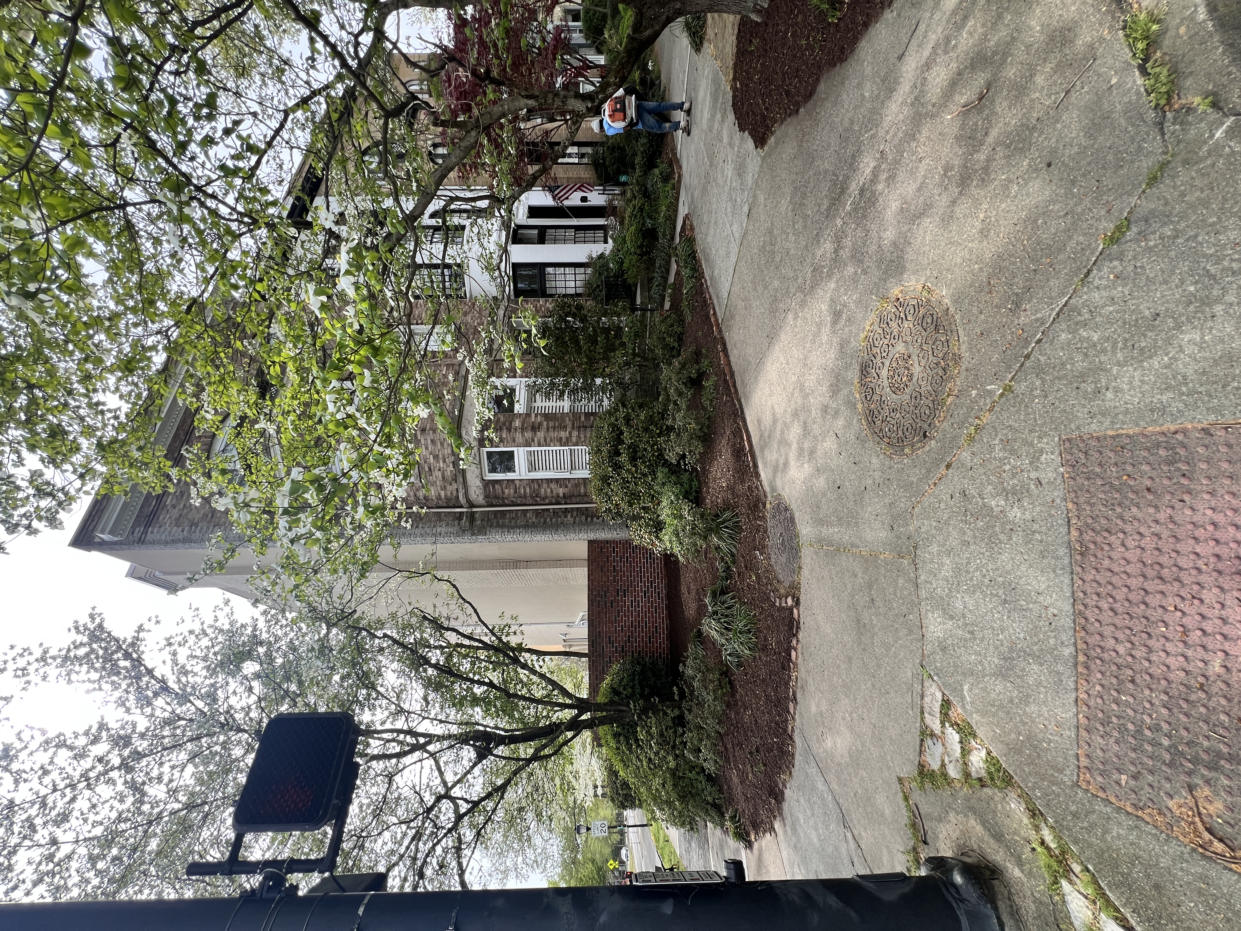 Total Lawncare project 25