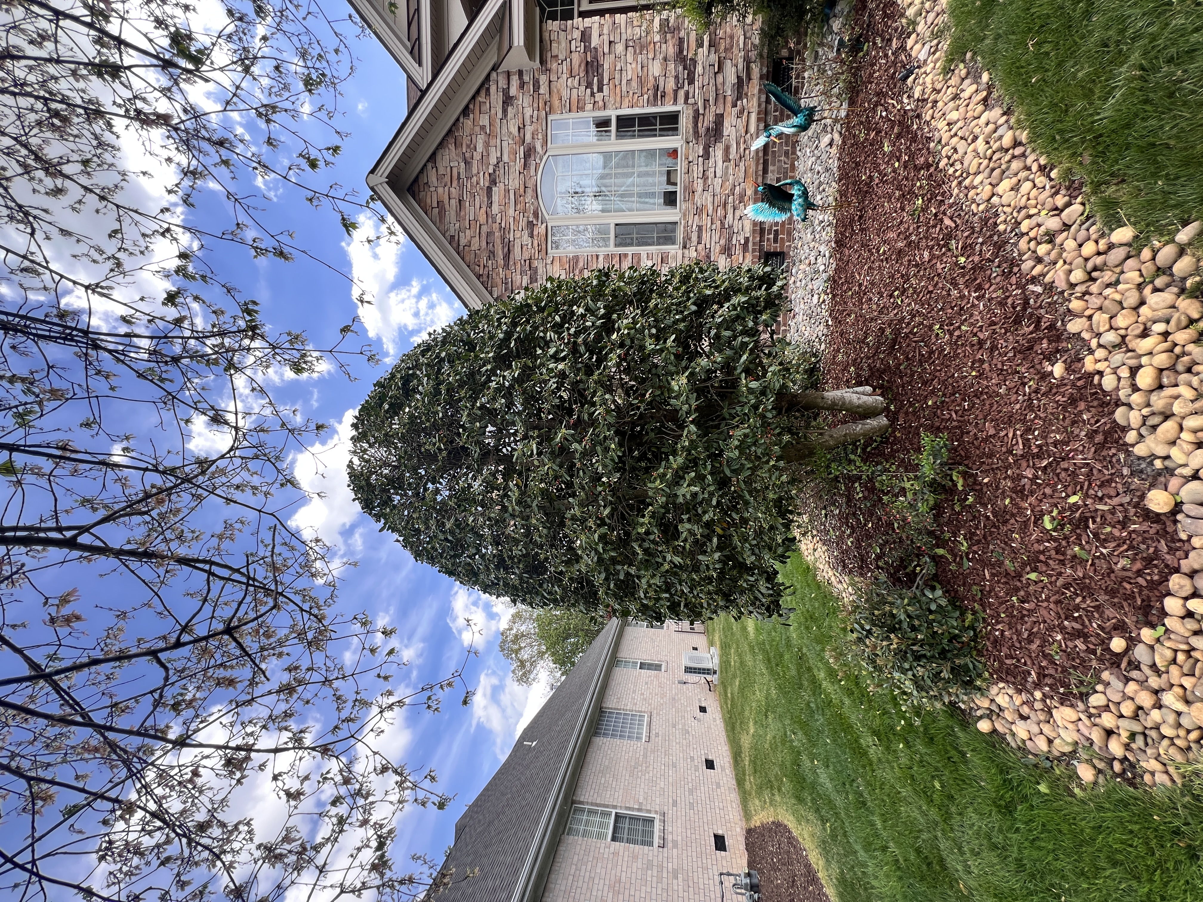 Total Lawncare project 22