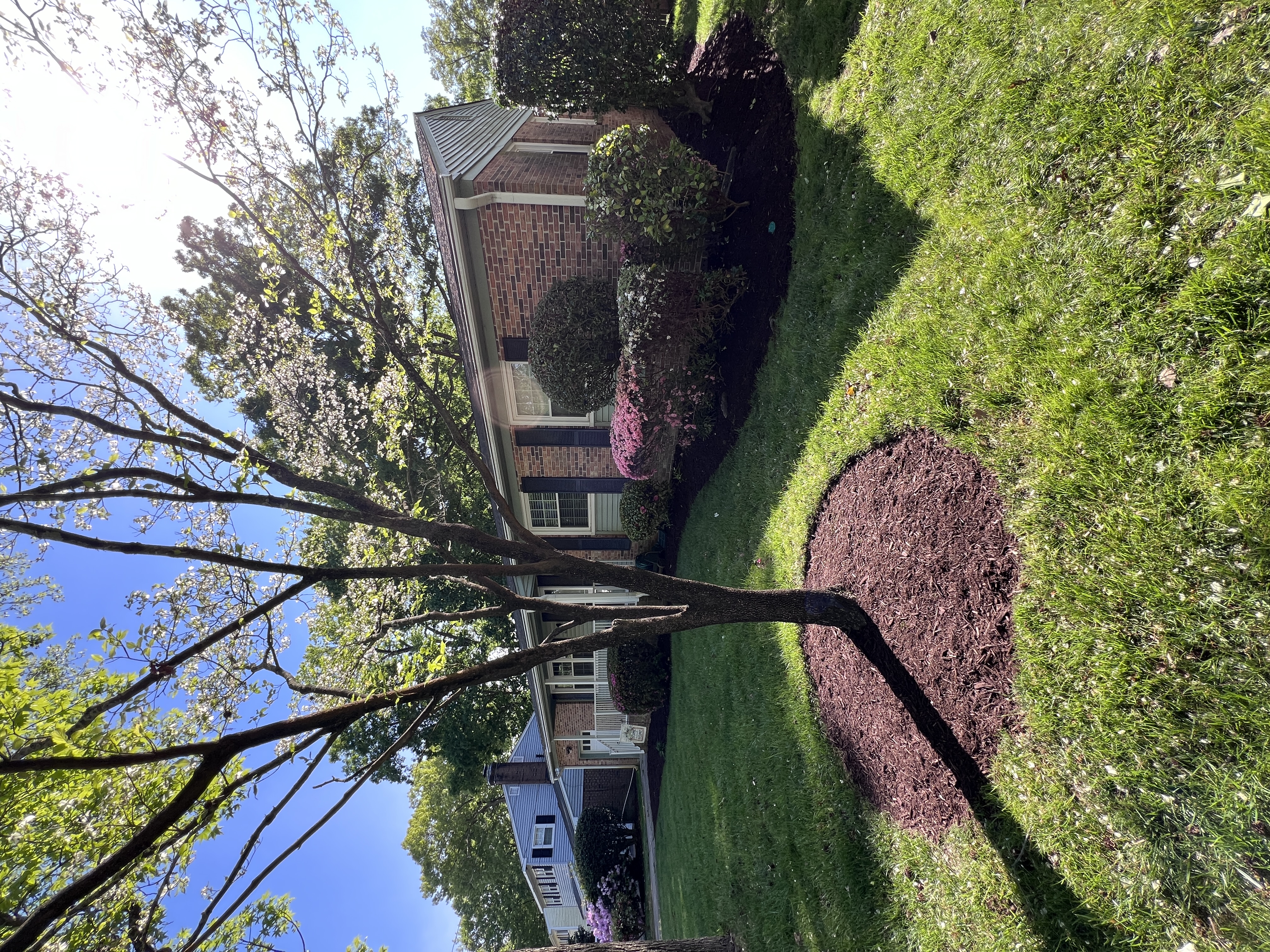 Total Lawncare project 158