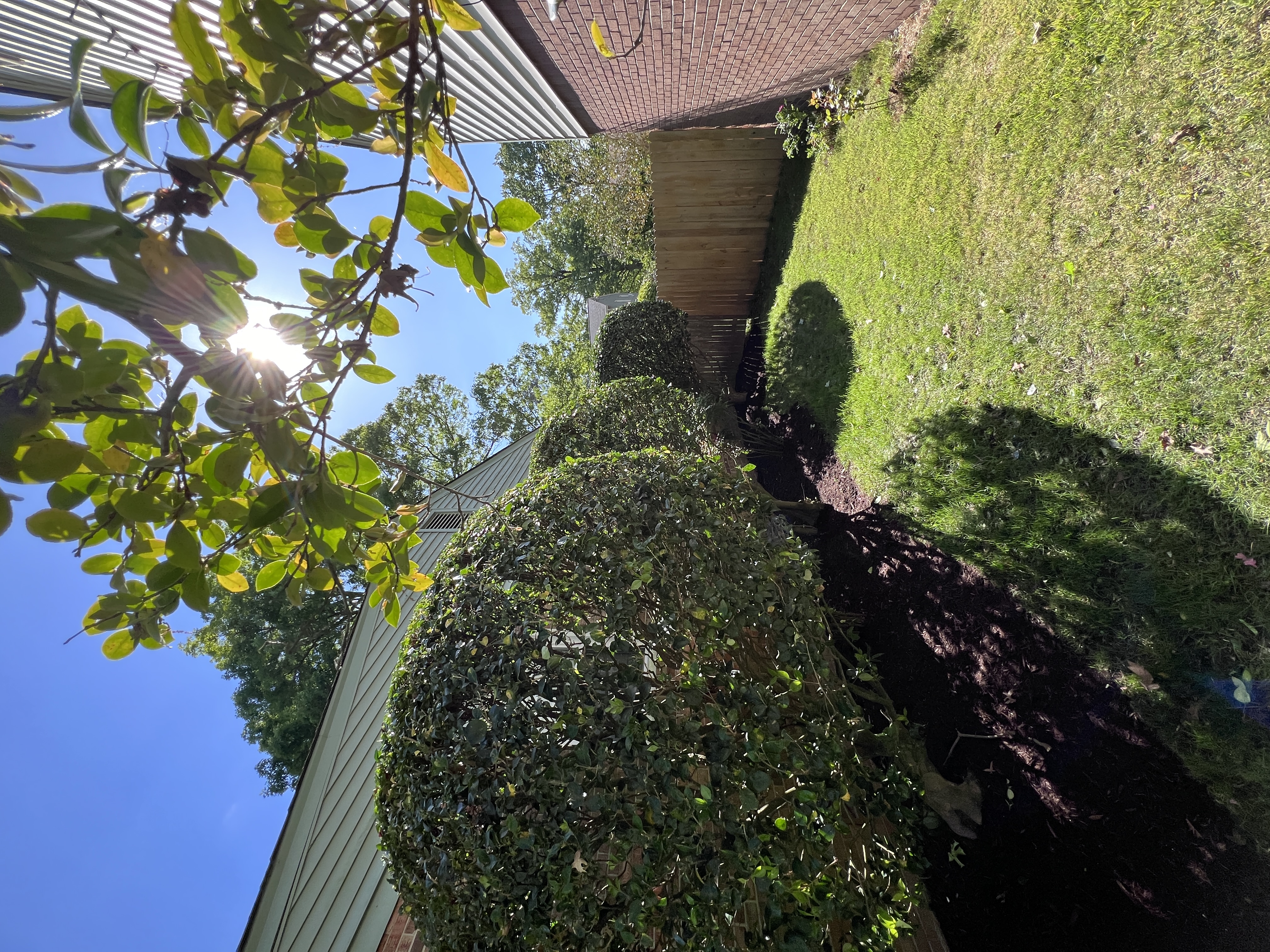 Total Lawncare project 136